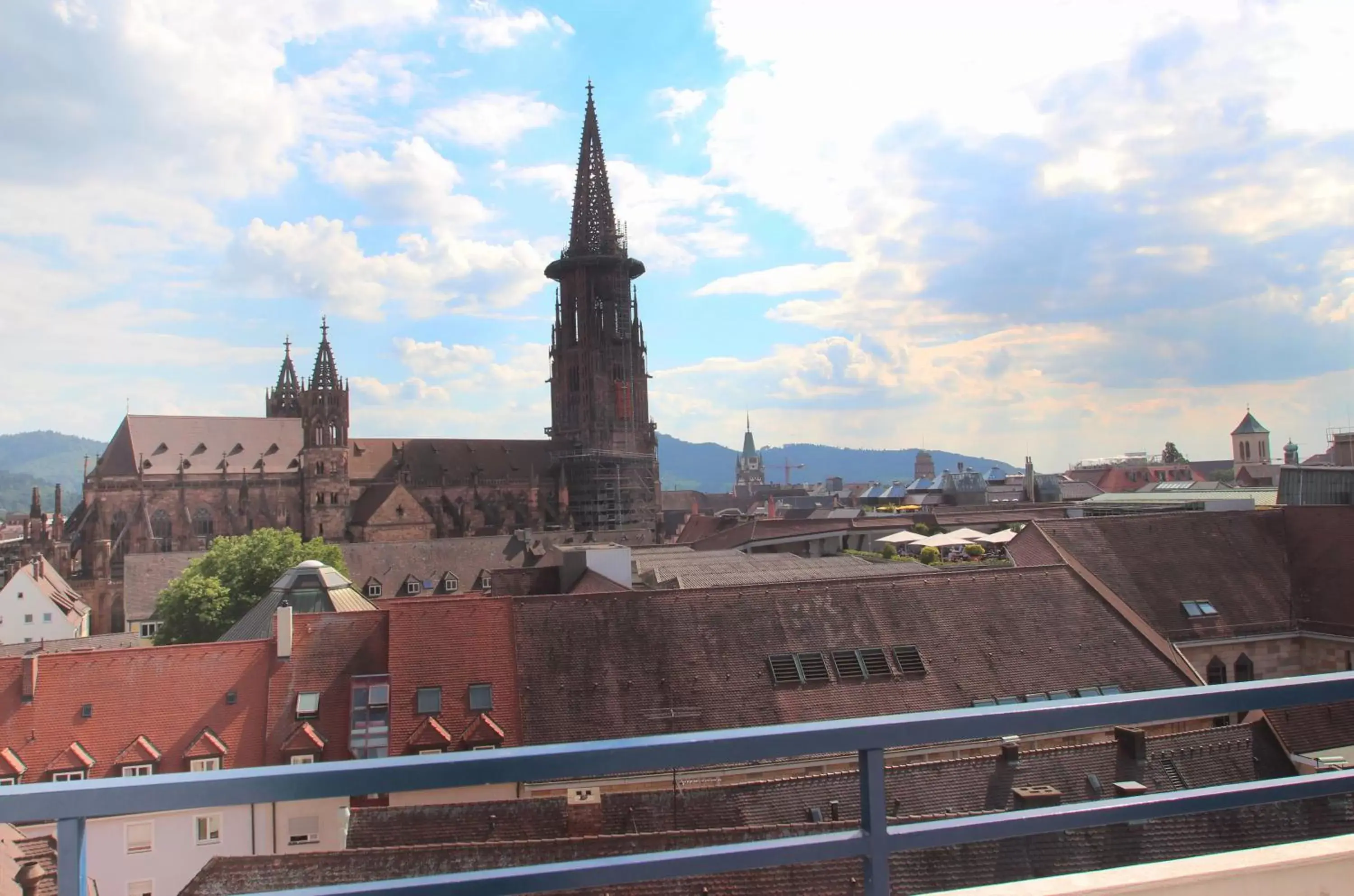 Neighbourhood in Mercure Hotel Freiburg am Münster