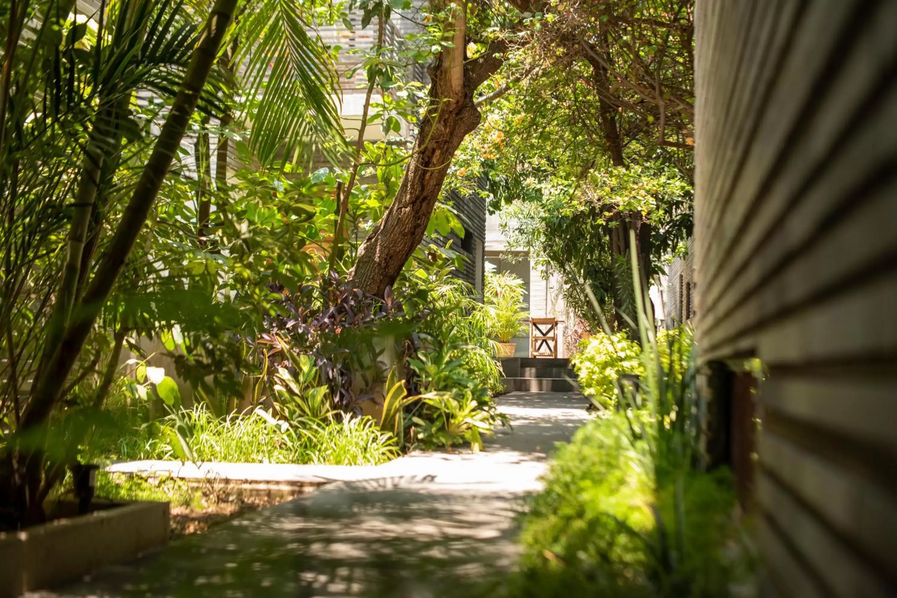 Garden in Nardazul "Casa de Sueños"