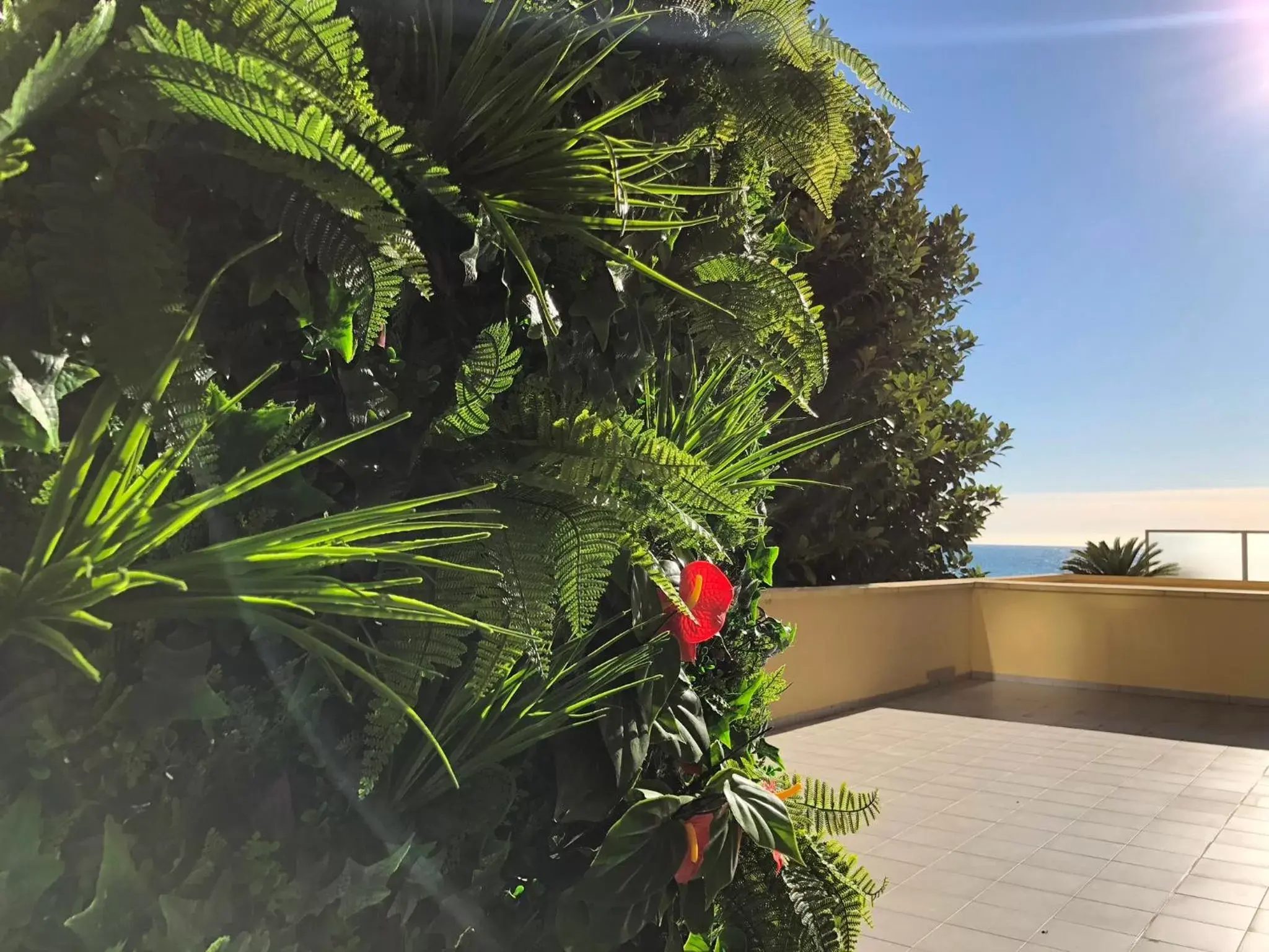 Balcony/Terrace in Hotel Palm Garavan