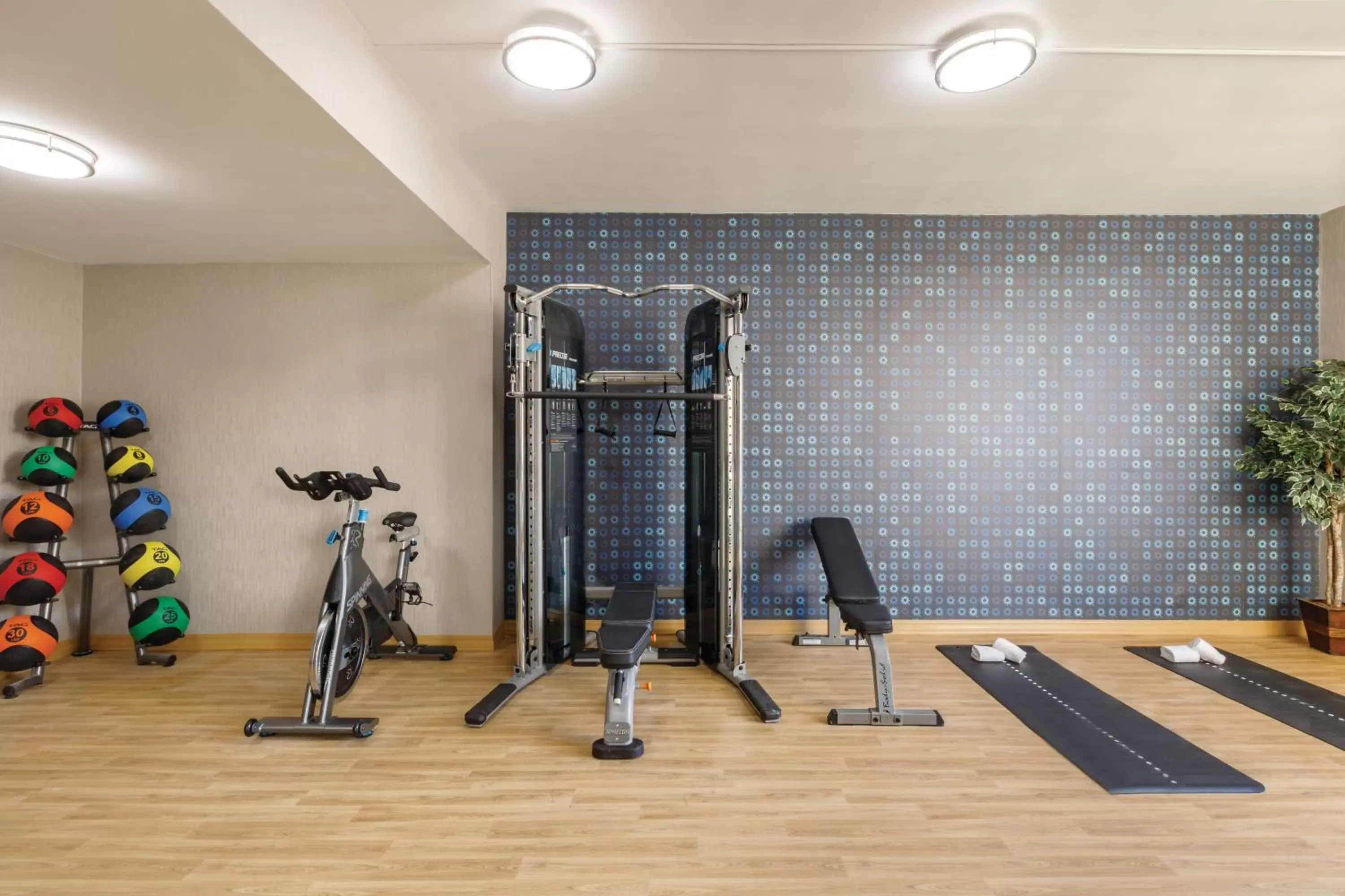 Fitness centre/facilities, Fitness Center/Facilities in La Quinta Inn & Suites by Wyndham Dothan