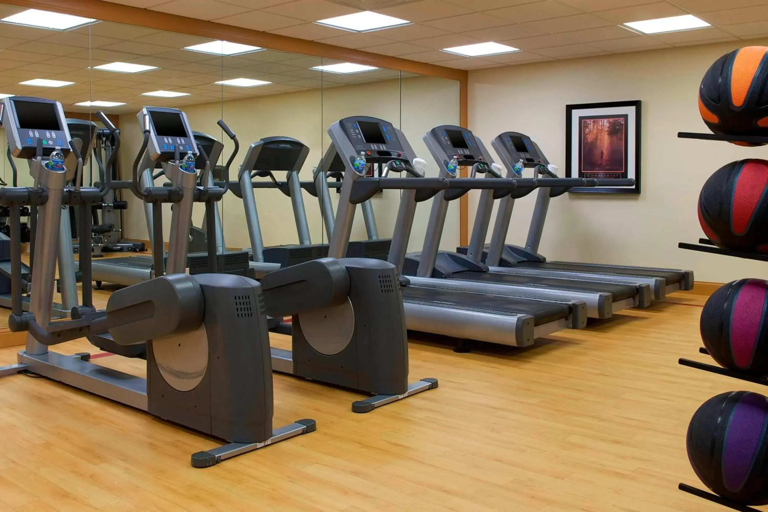 Fitness centre/facilities, Fitness Center/Facilities in Sheraton Minneapolis West Hotel