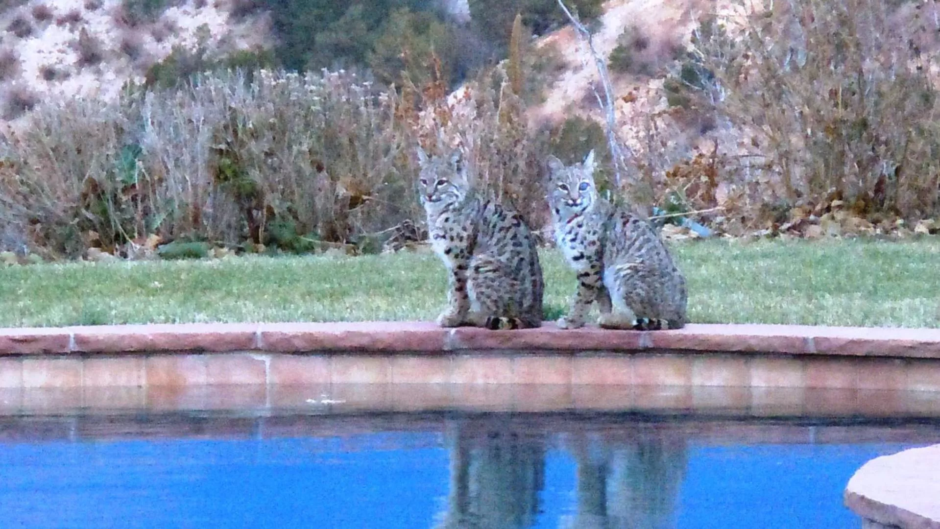 Other in Garden of the Gods Resort & Club
