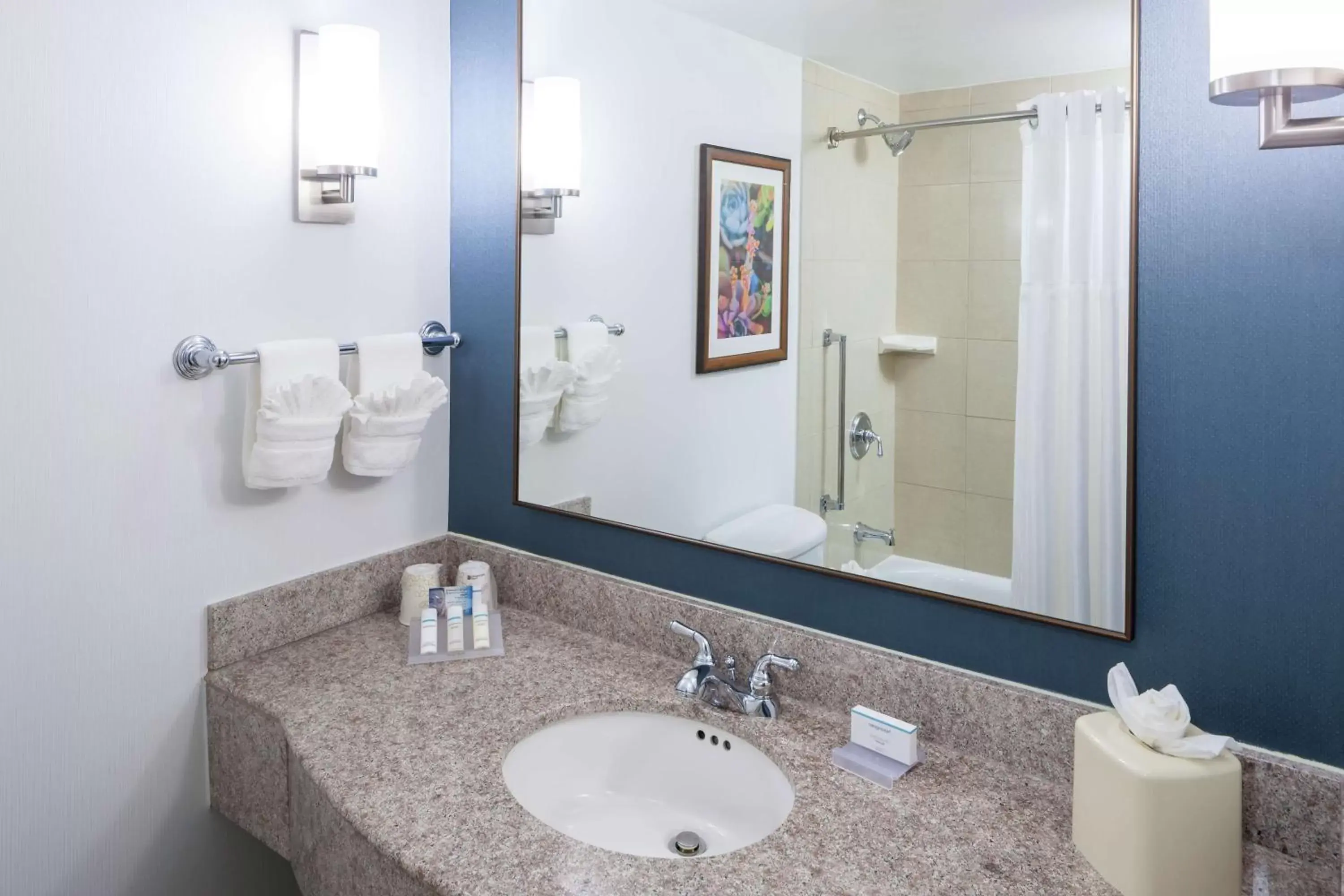 Bathroom in Hilton Garden Inn Dallas/Allen