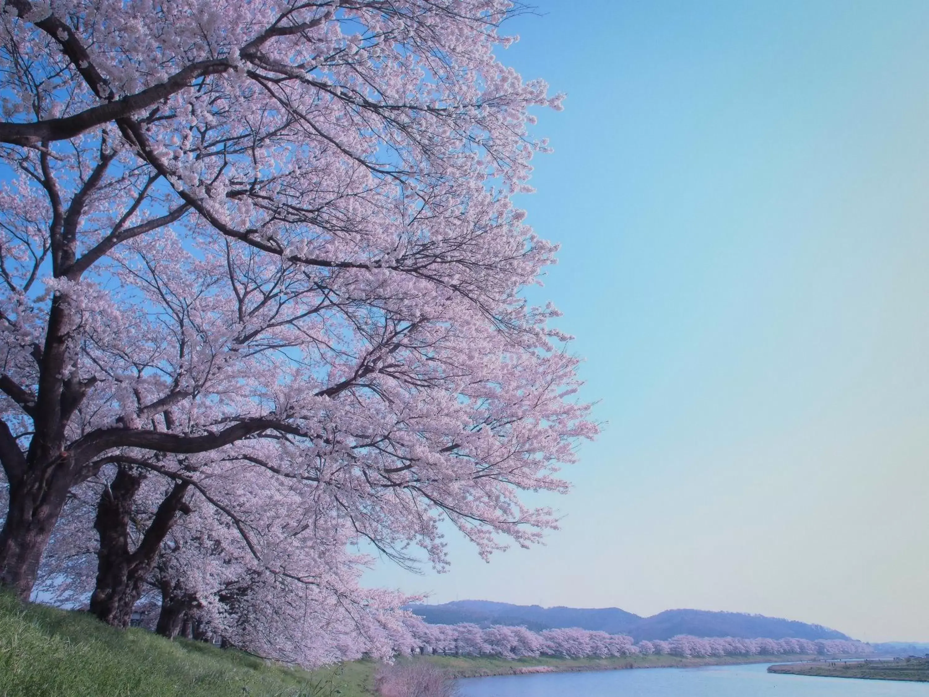 Nearby landmark, Winter in Hotel GrandBach Sendai