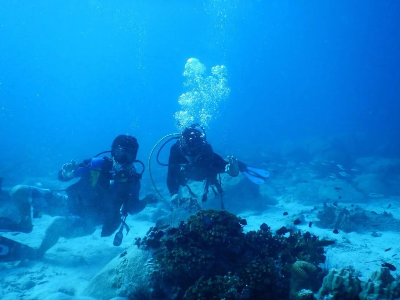 Diving in Sok San Beach Resort