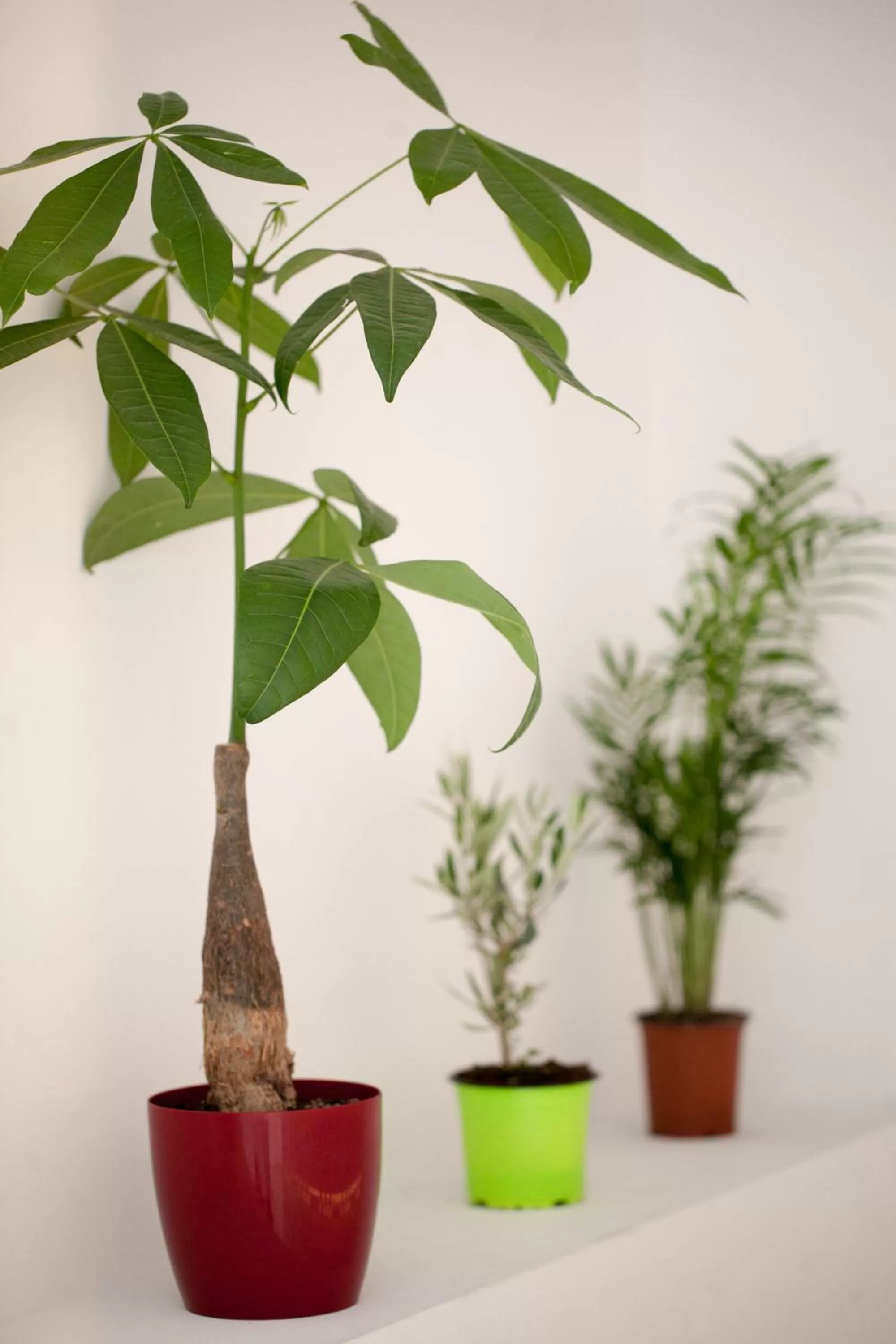 Property building in Athens Cypria Hotel