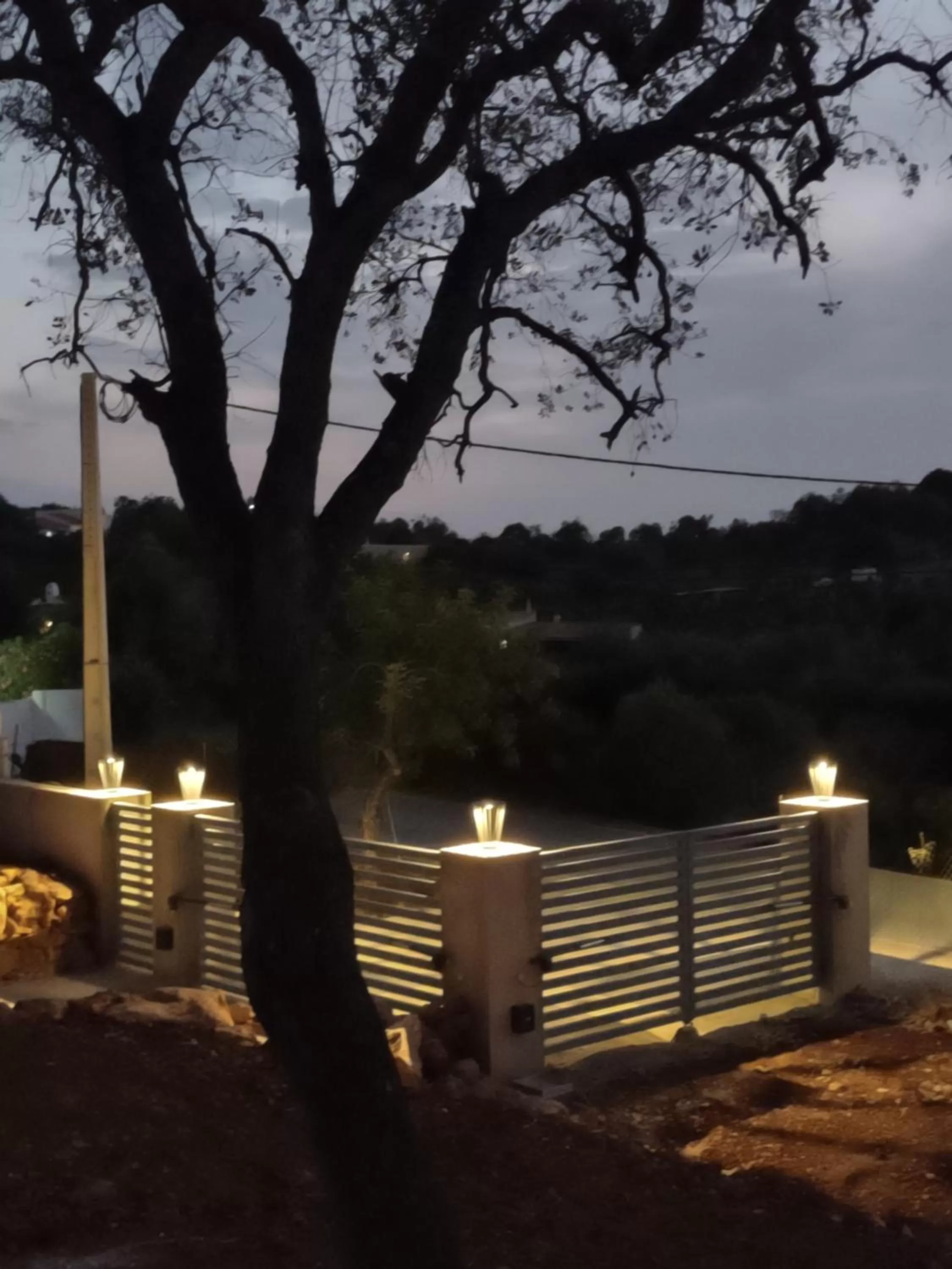 Night in Suites Sunny hill