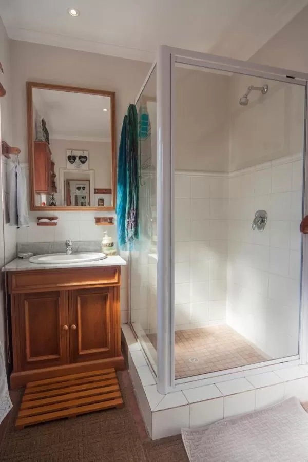 Shower in 79 On Ridge