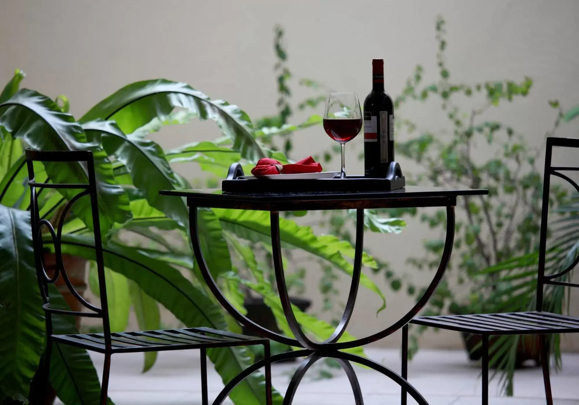 Patio in The Suites at Calle Nueva