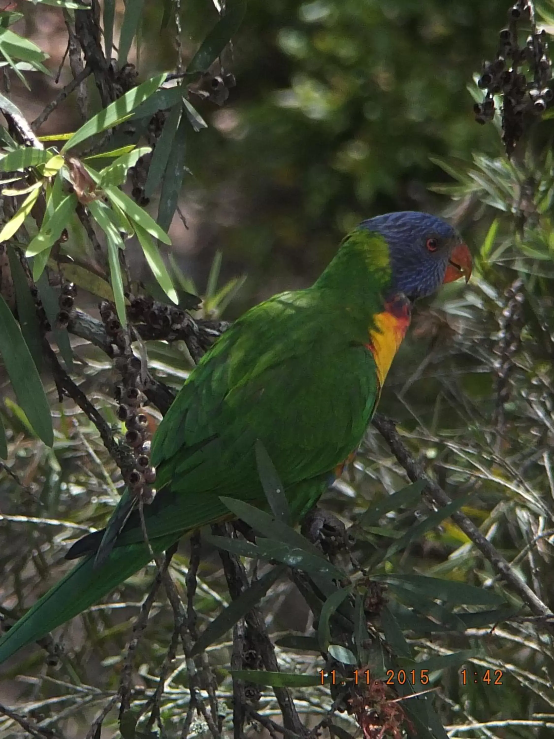 Natural landscape, Other Animals in Torquay Terrace Bed & Breakfast