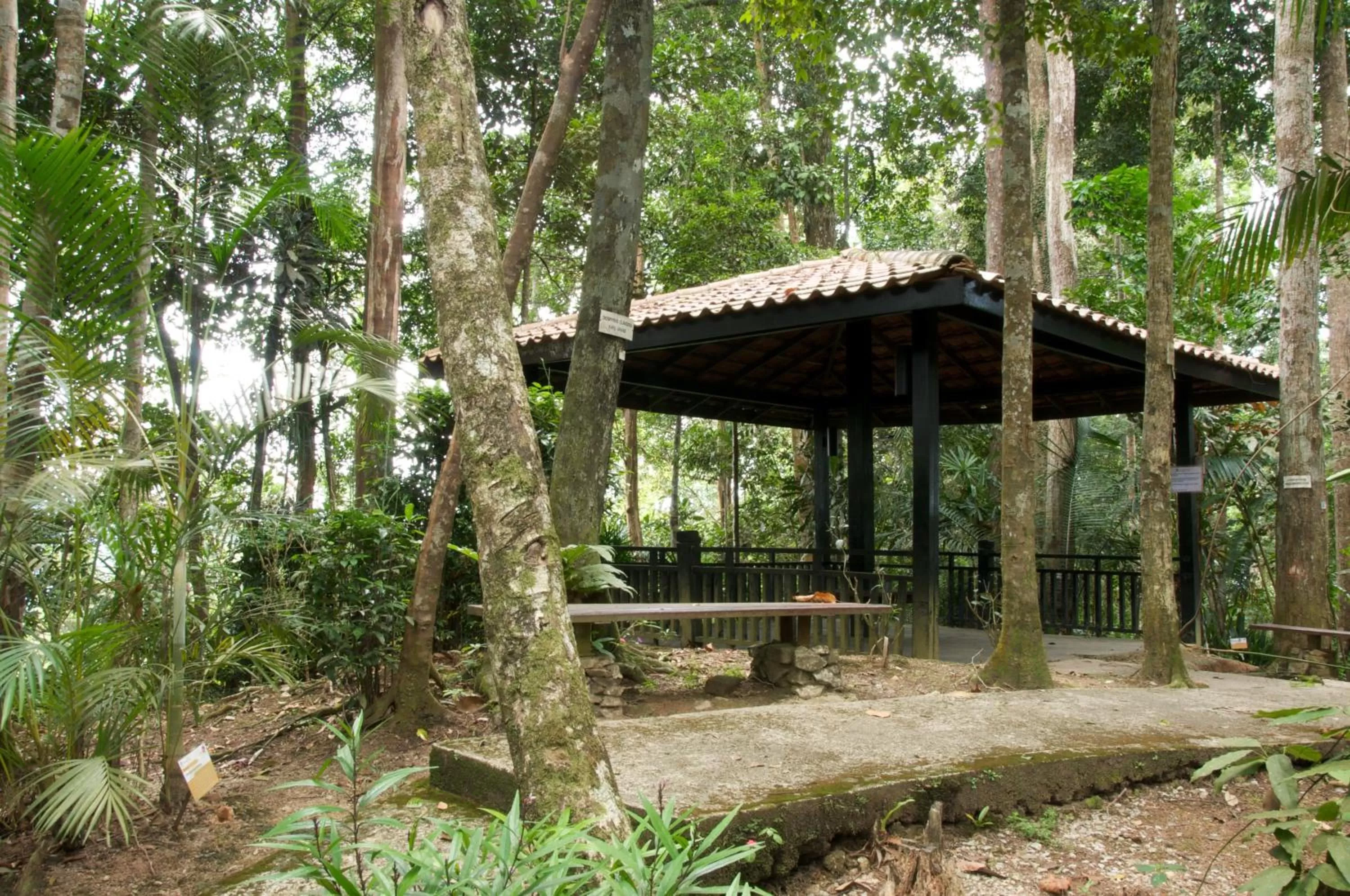 Area and facilities in Colmar Tropicale