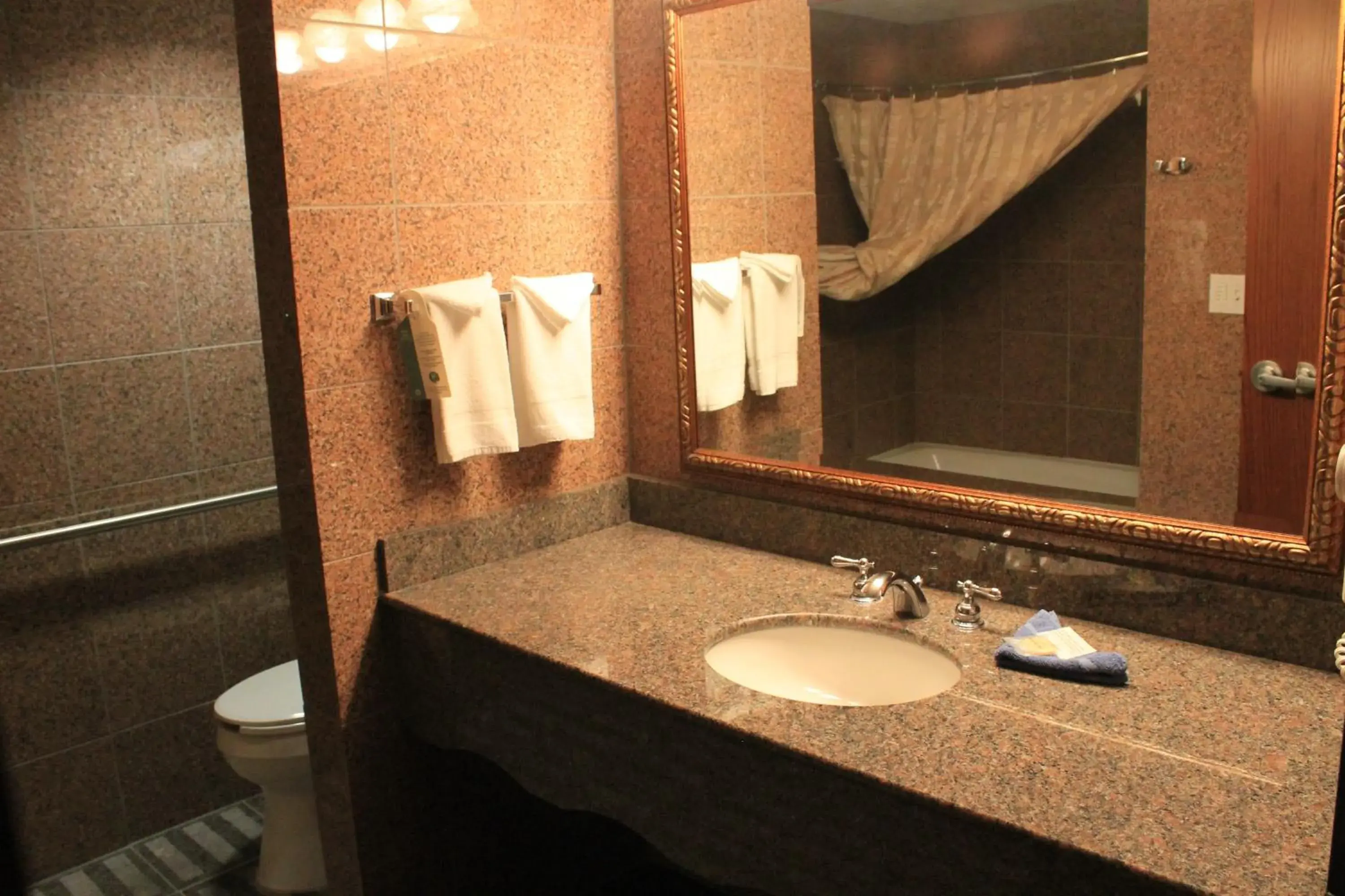 Bathroom in Rushmore Express & Suites