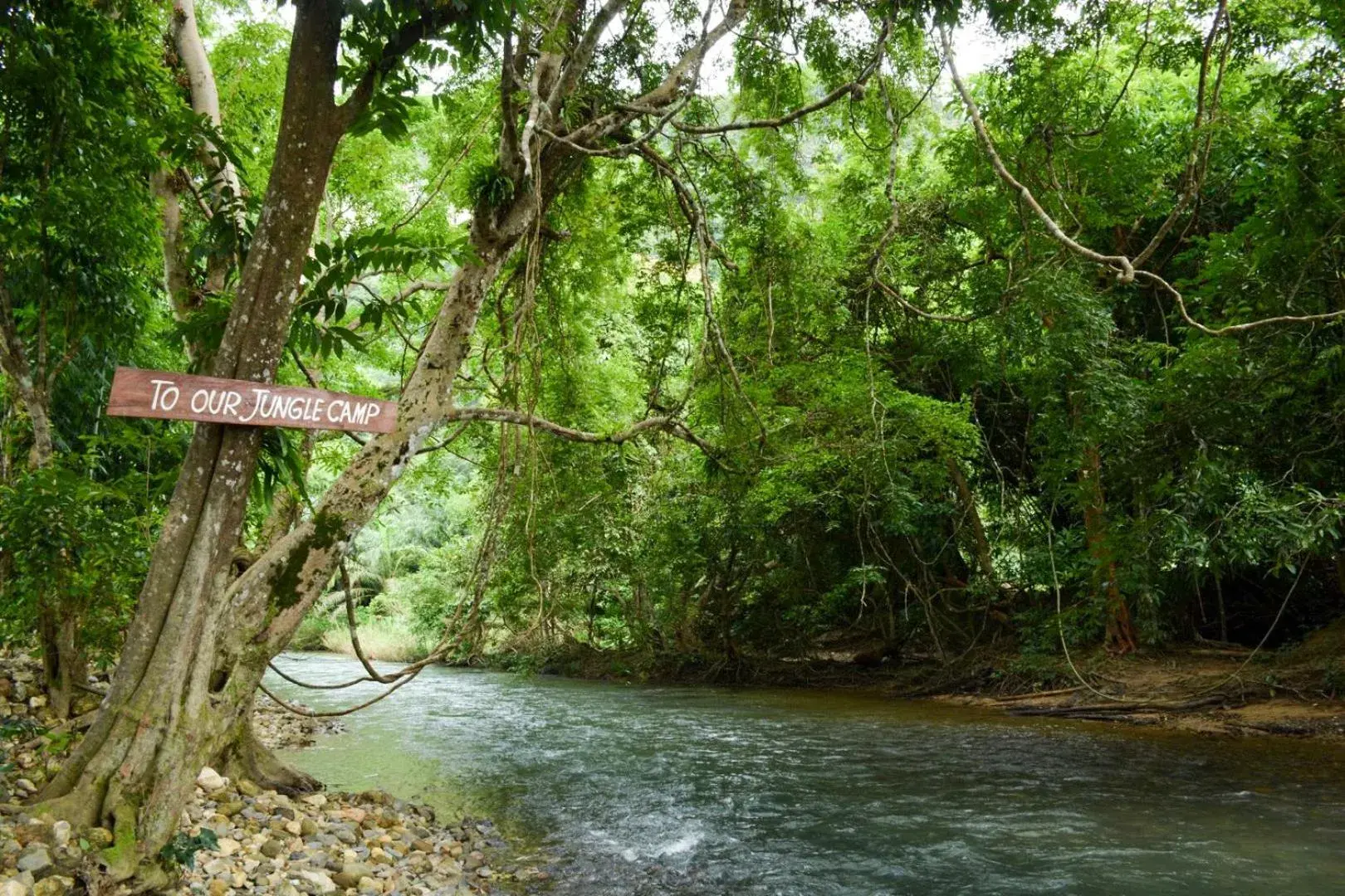 Garden in Our Jungle Camp - Eco Resort SHA Certified