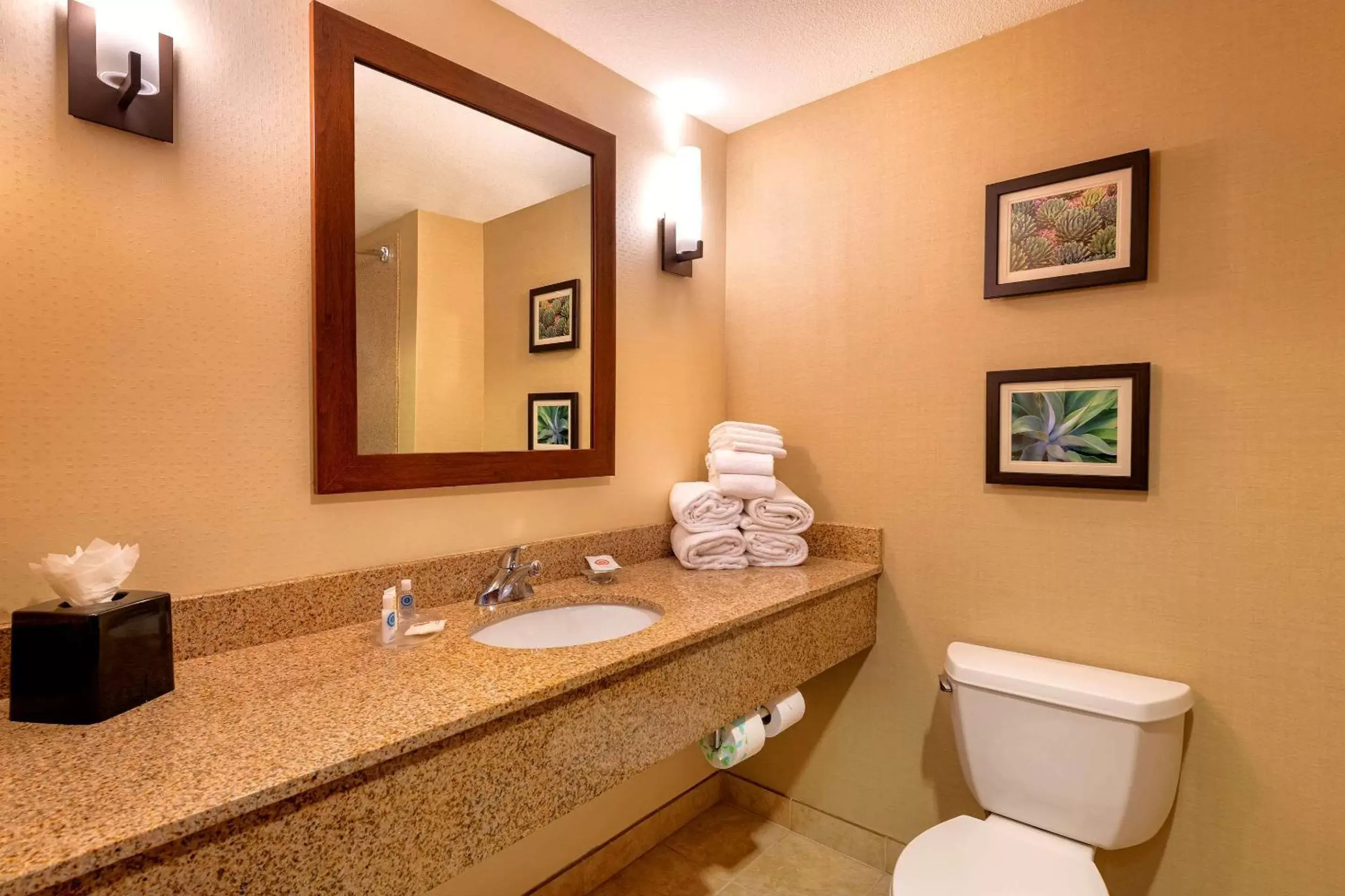 Bedroom, Bathroom in Comfort Suites Goodyear-West Phoenix