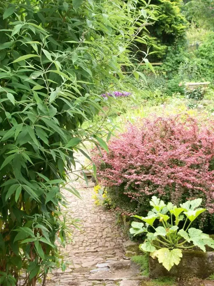 Garden in Middletown Farmhouse B&B