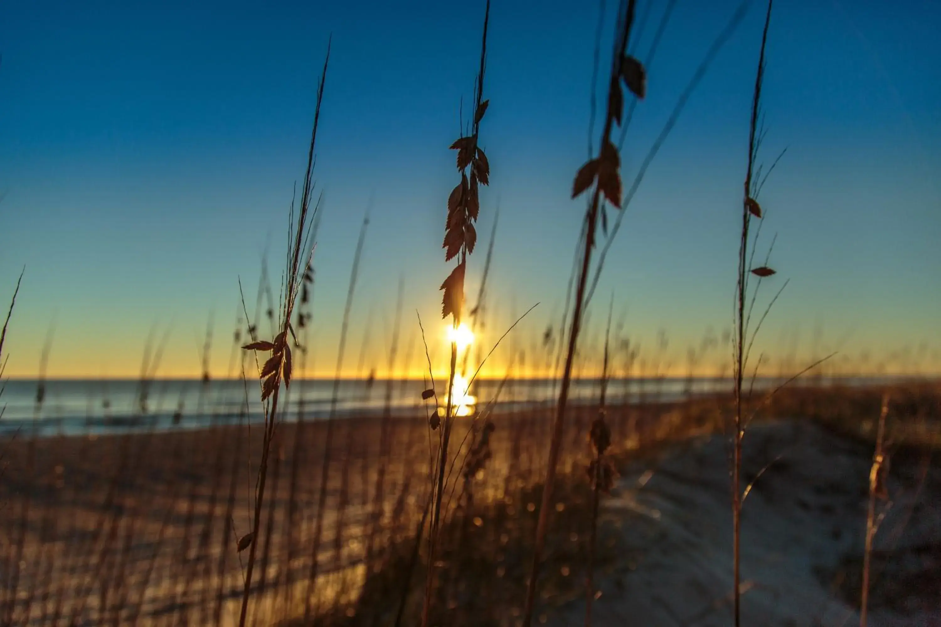 Sea view in Ponte Vedra Inn and Club