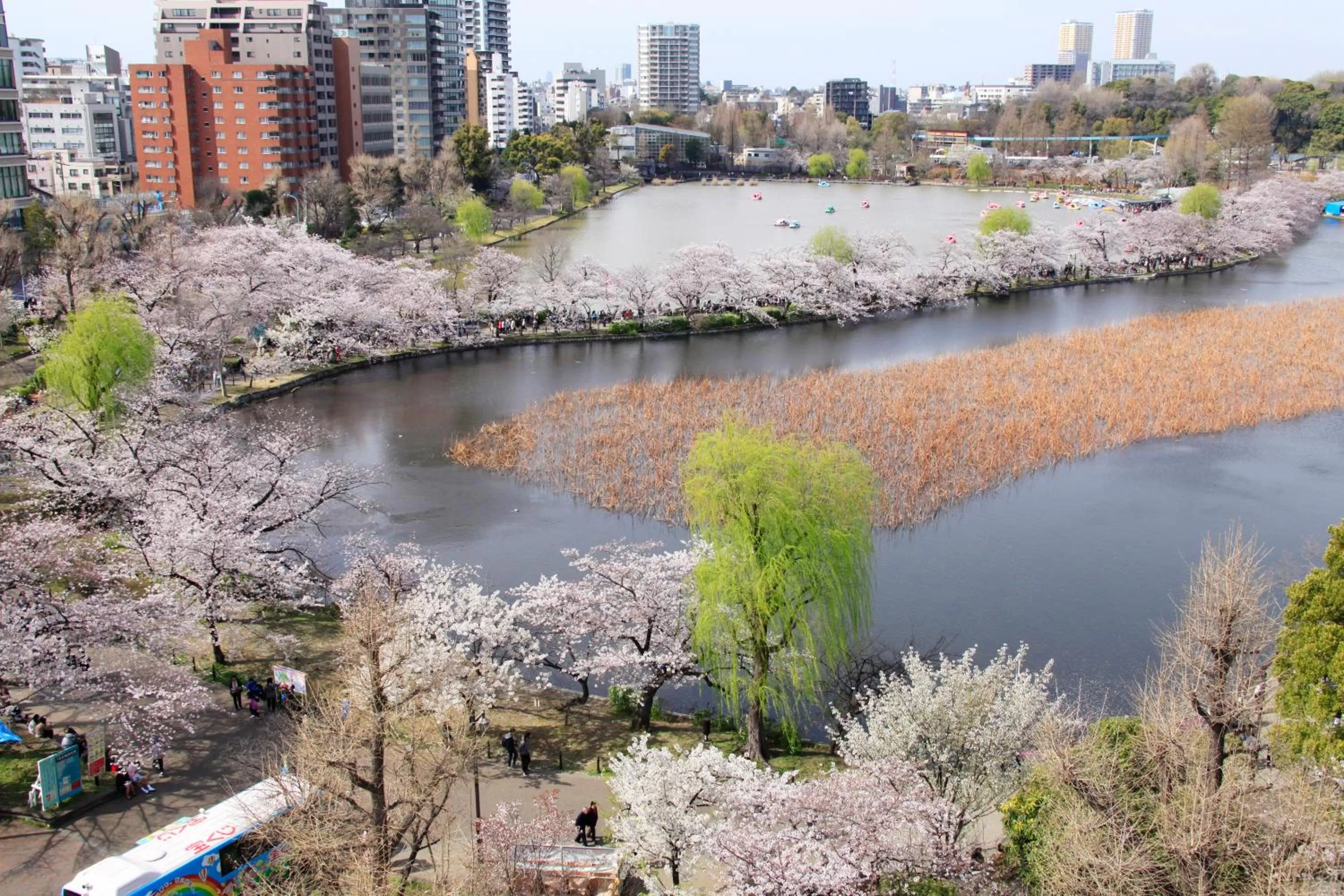 Off site in Centurion Hotel Ueno