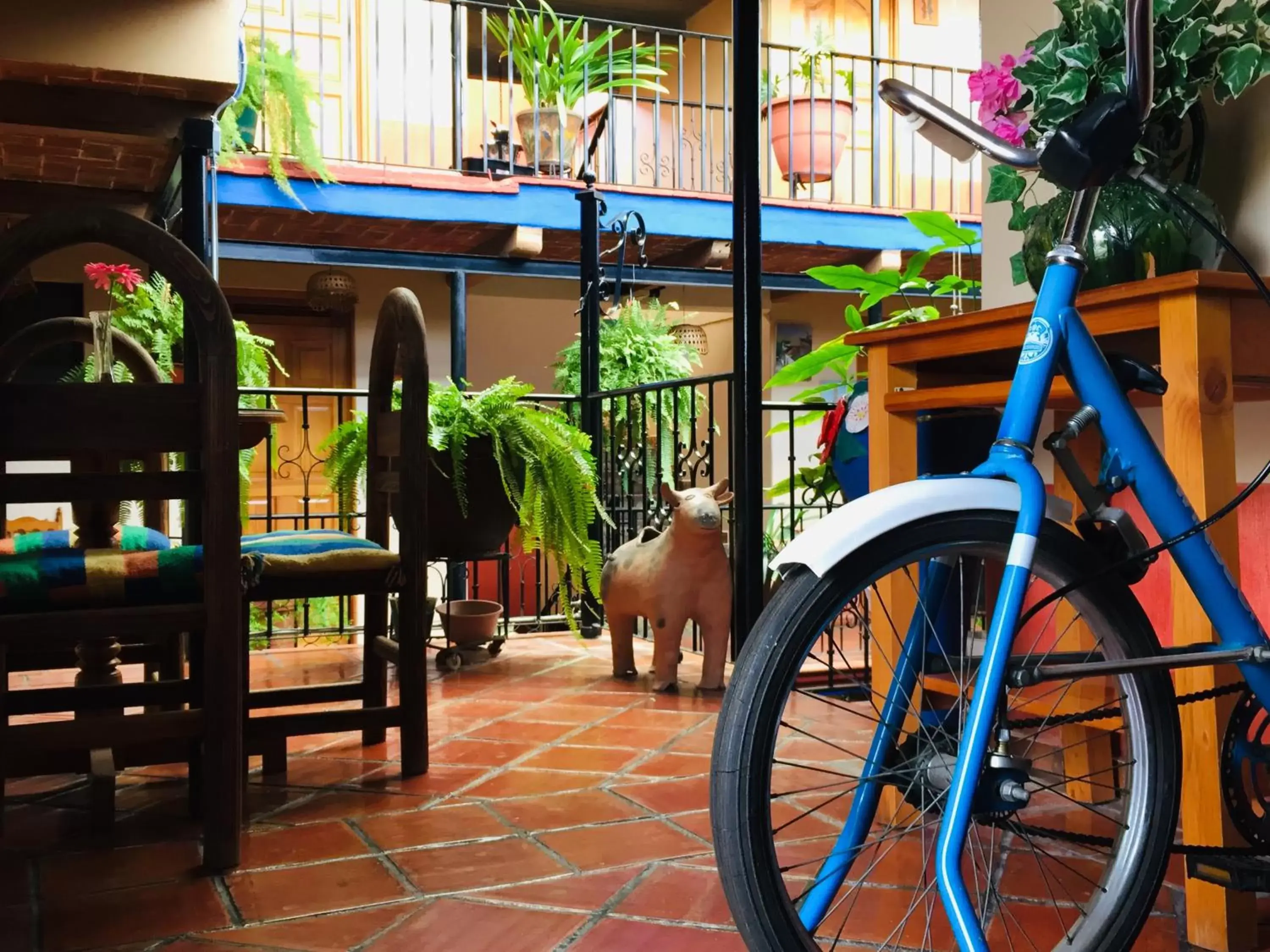 Library in Hotel Cazomalli Oaxaca