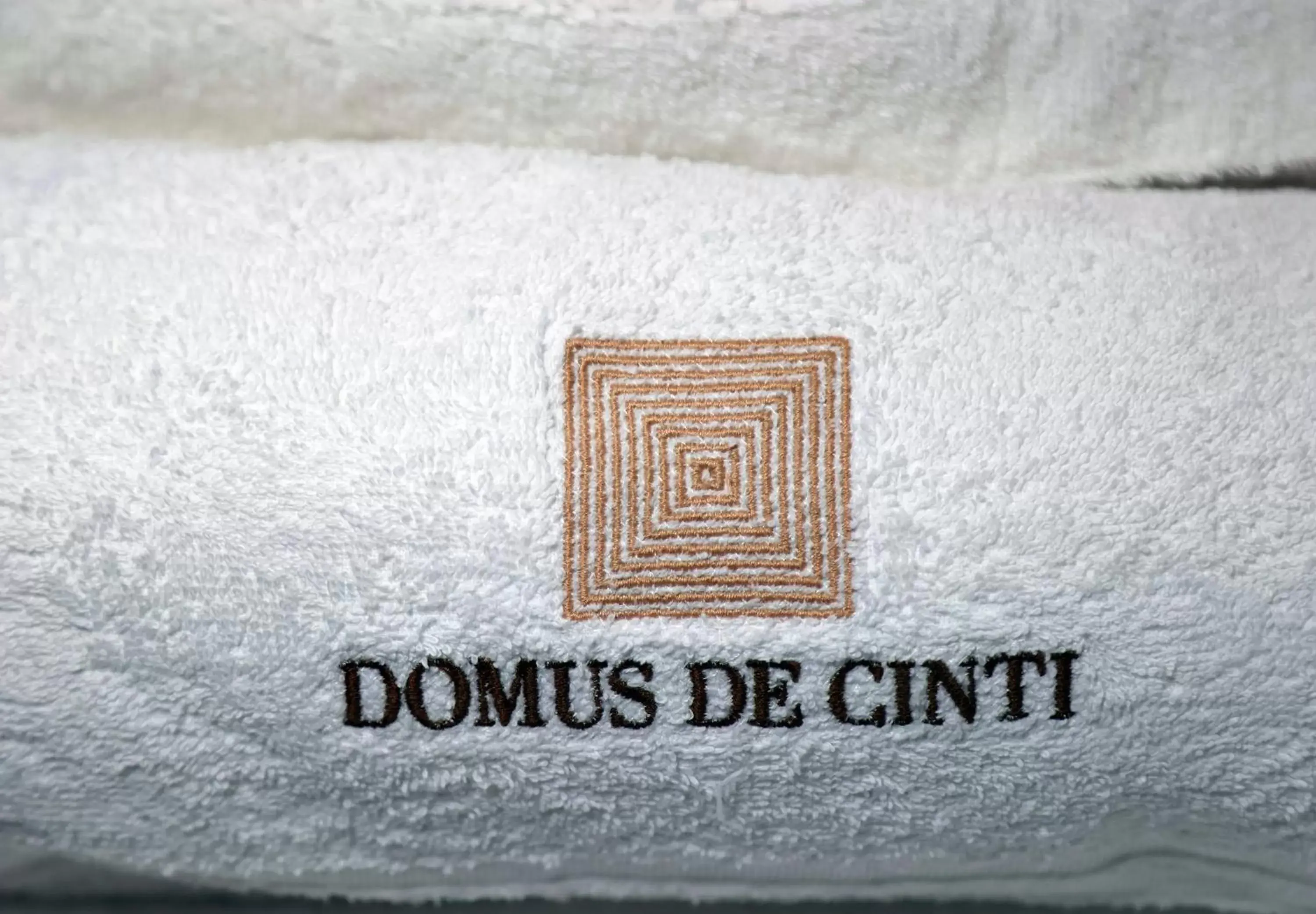 heating, Property Logo/Sign in Domus De Cinti