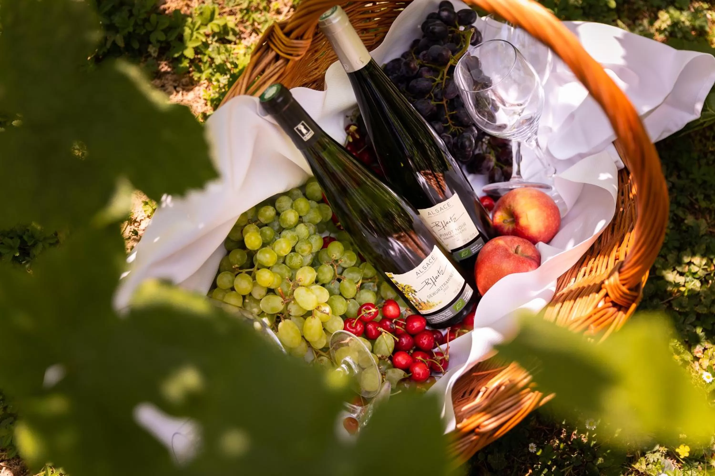 Garden in Hôtel Diana Restaurant & Spa by HappyCulture