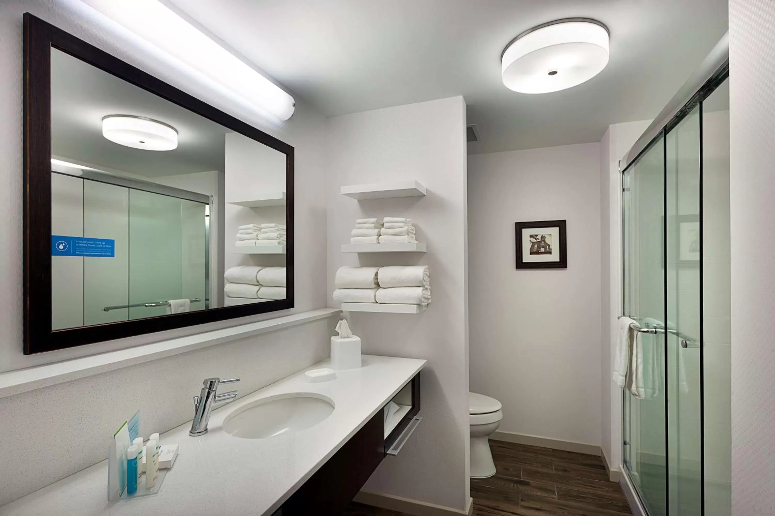 Bathroom in Hampton Inn and Suites Fort Mill, SC