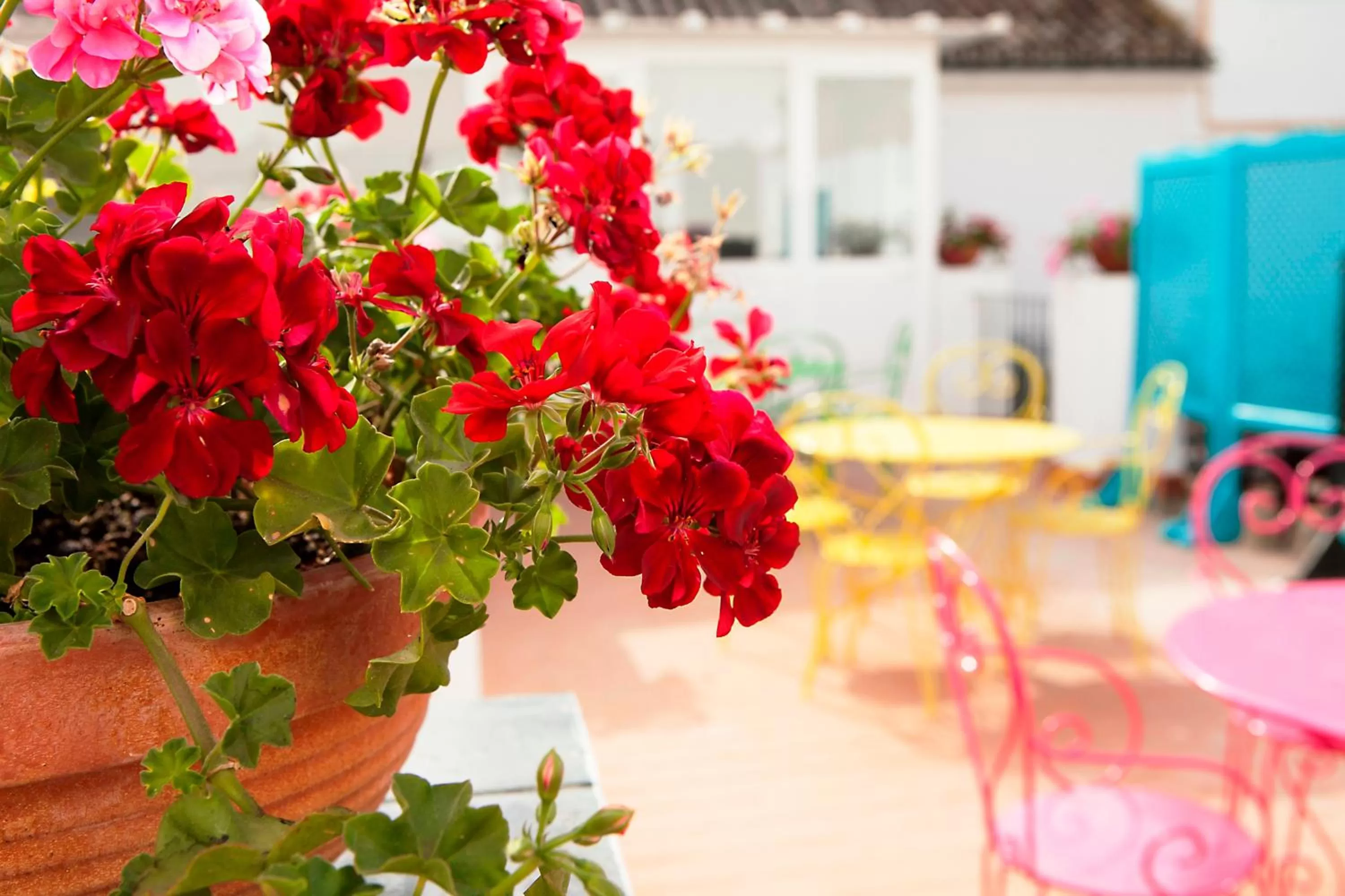 Patio in Casual de las Letras Sevilla