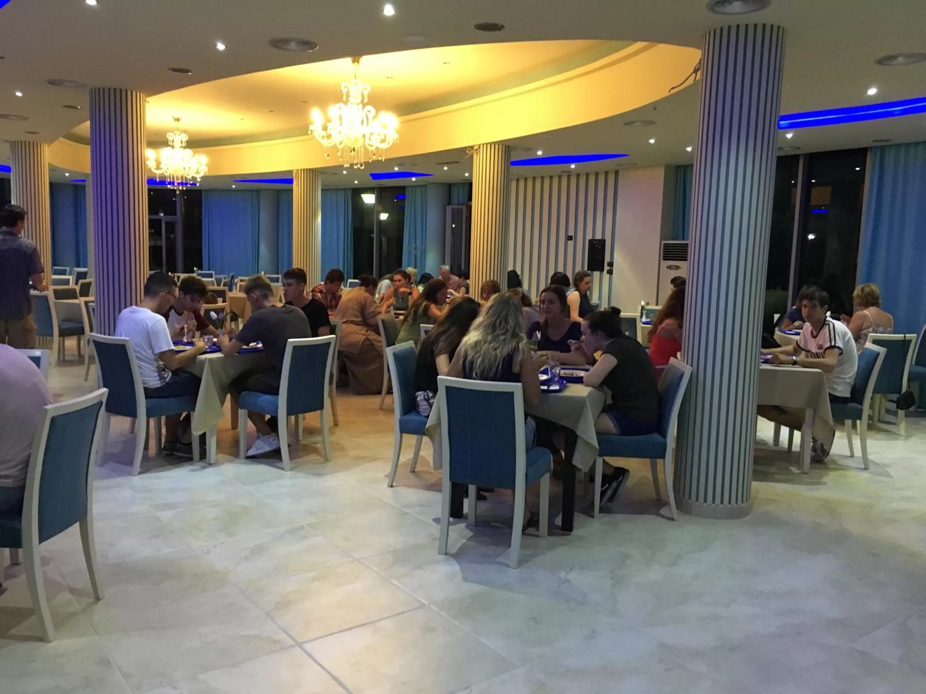 Dinner, Restaurant/Places to Eat in Hotel ANTAG