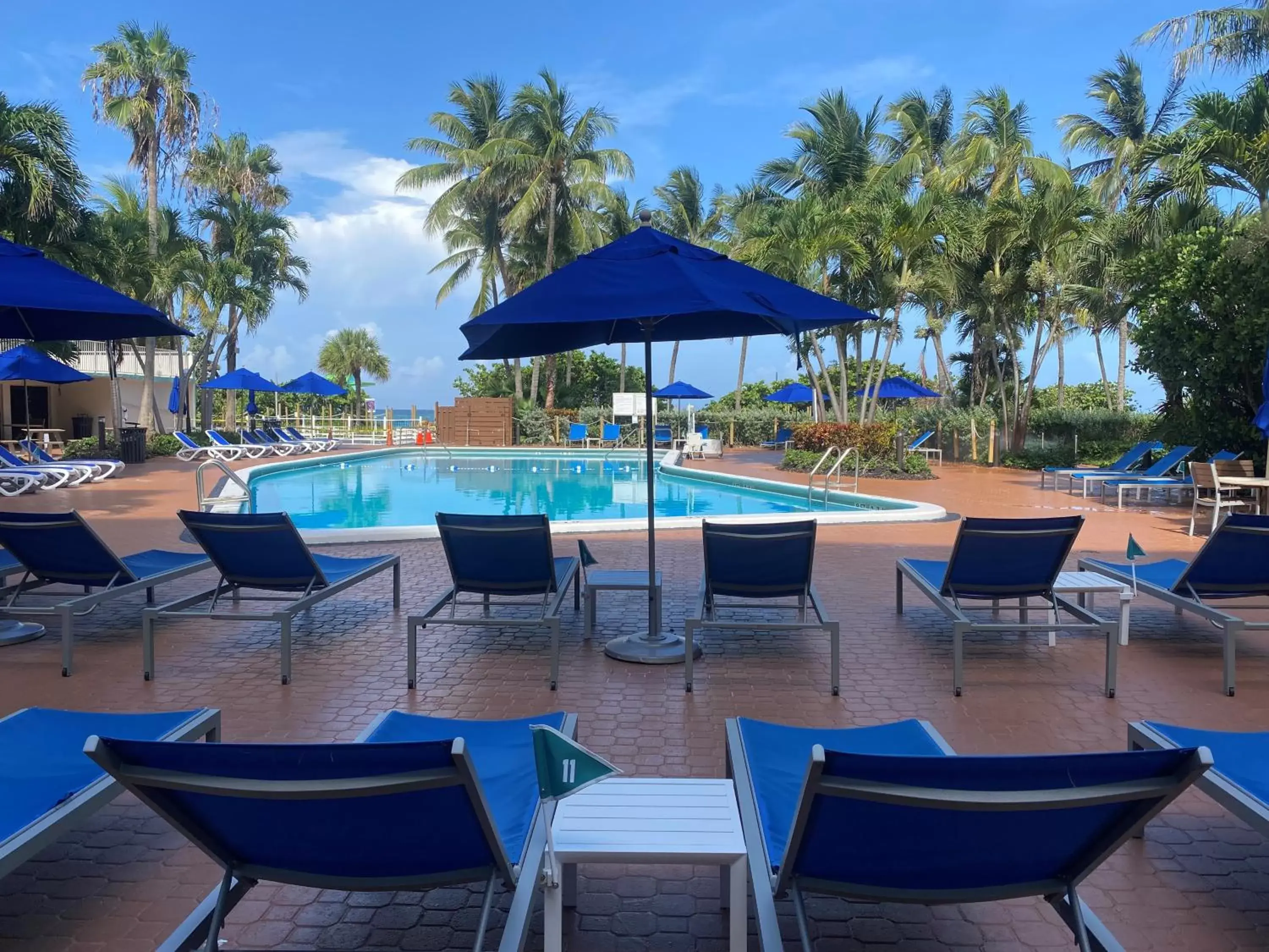 Swimming Pool in Radisson Resort Miami Beach