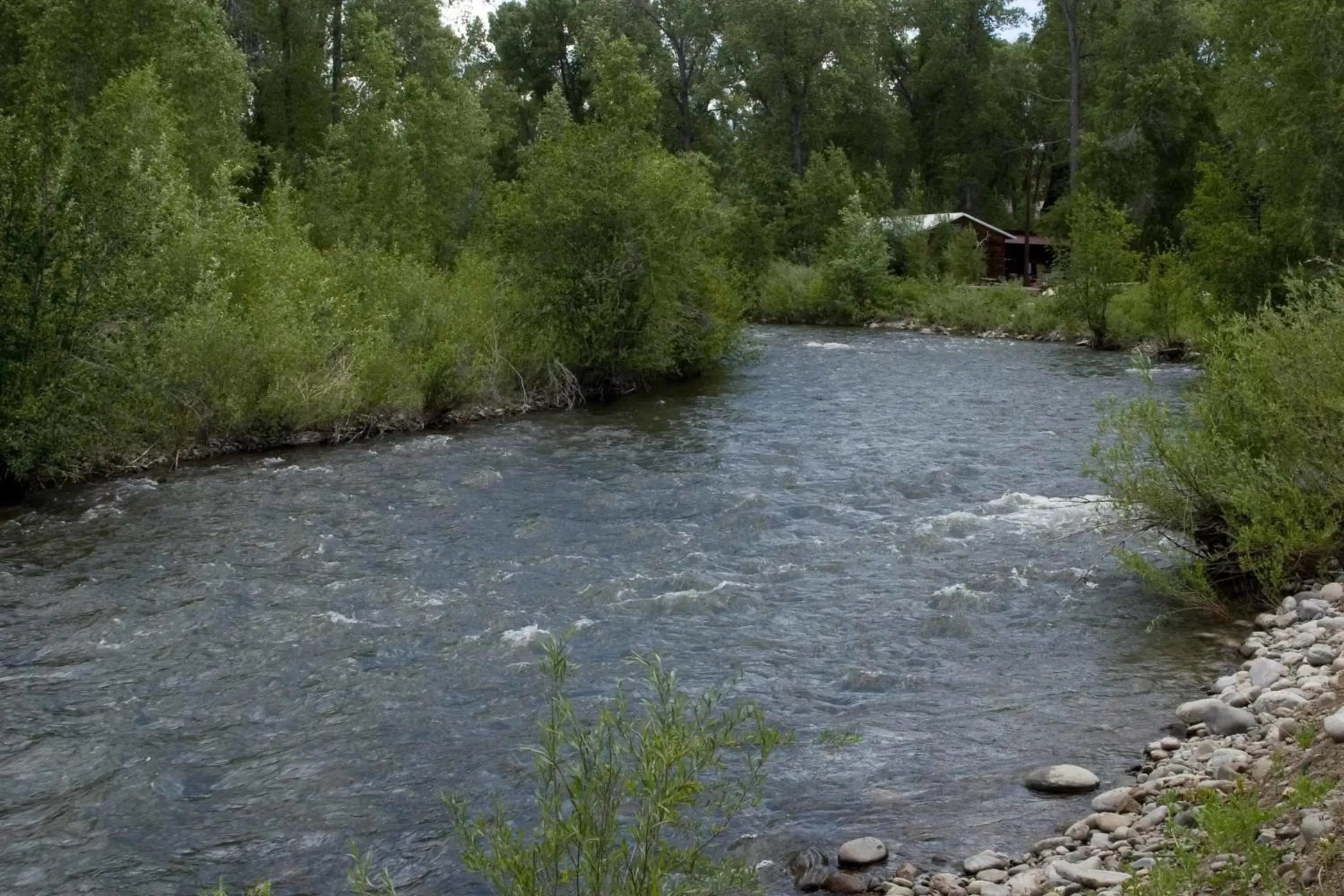 Area and facilities, Natural Landscape in Elkhorn Lodge