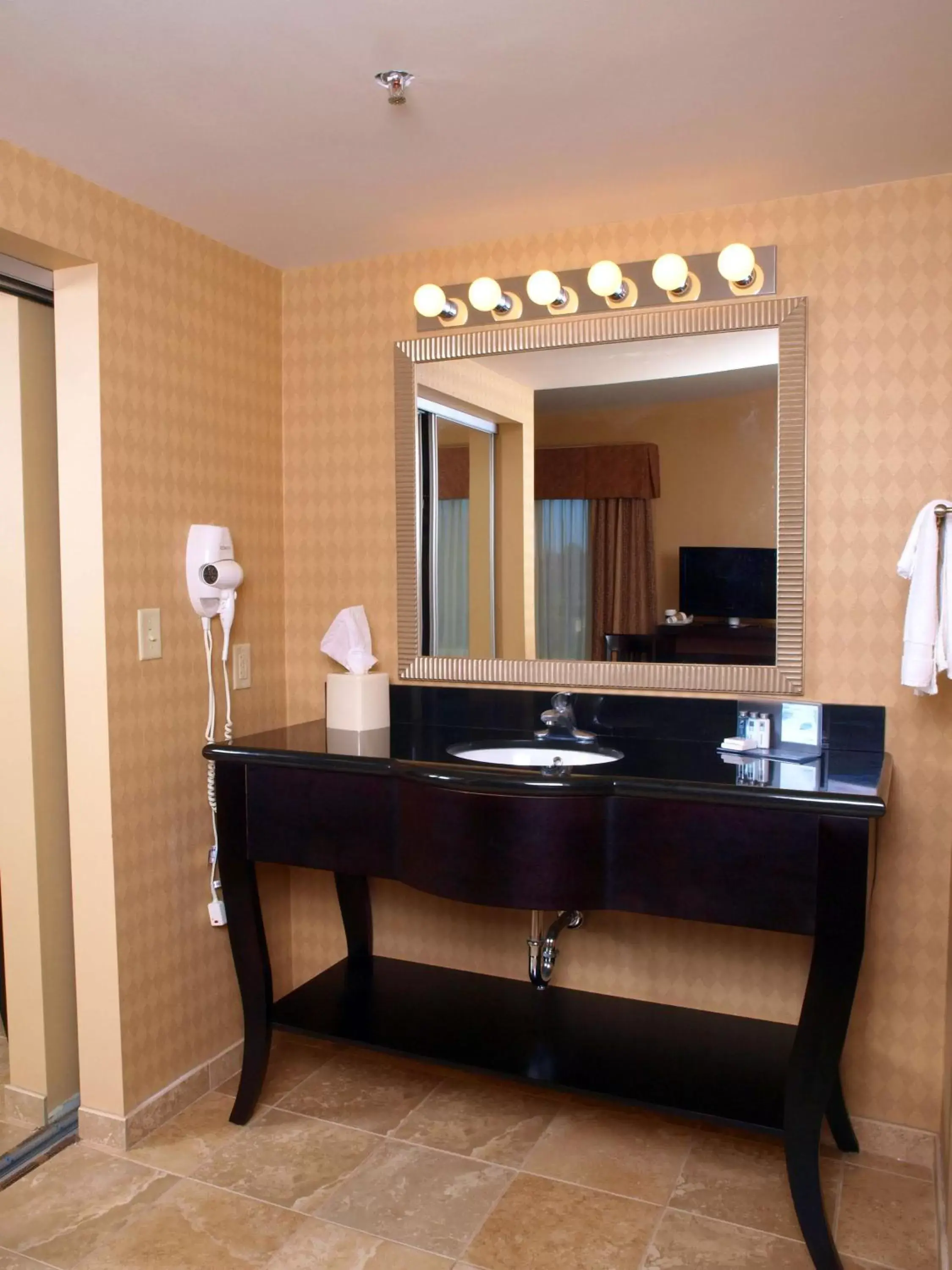 Bathroom in Hampton Inn & Suites-Knoxville/North I-75
