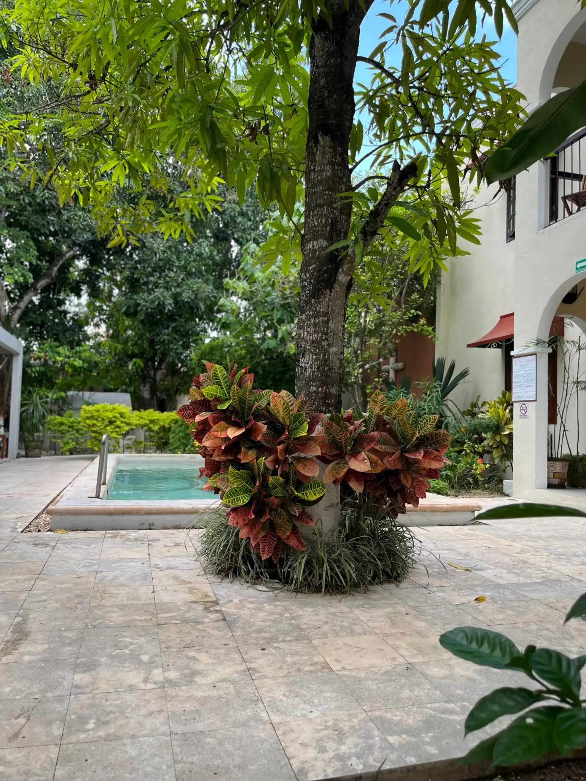 Patio, Swimming Pool in Casa Valladolid Boutique Hotel