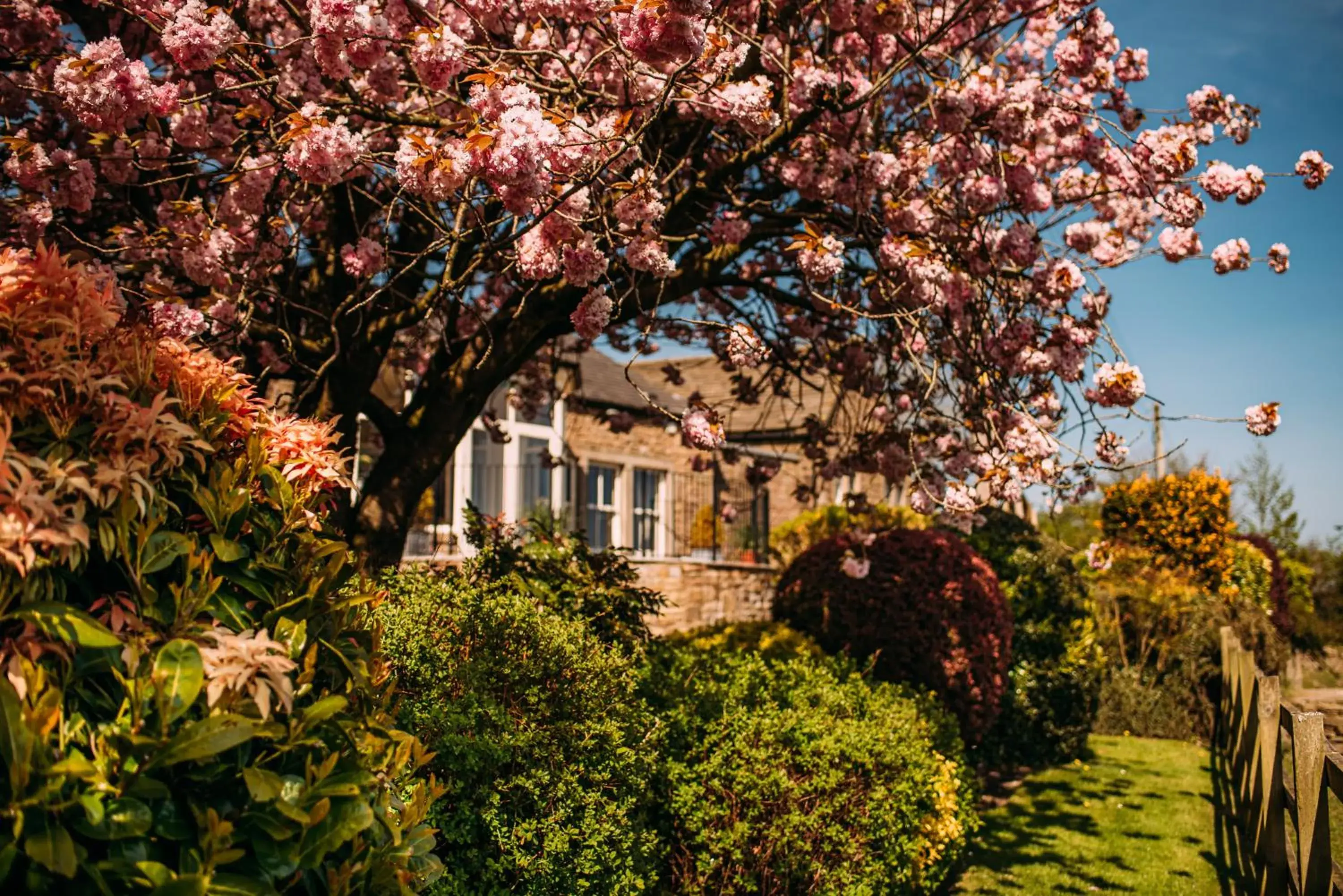 Garden view in The Shireburn Arms