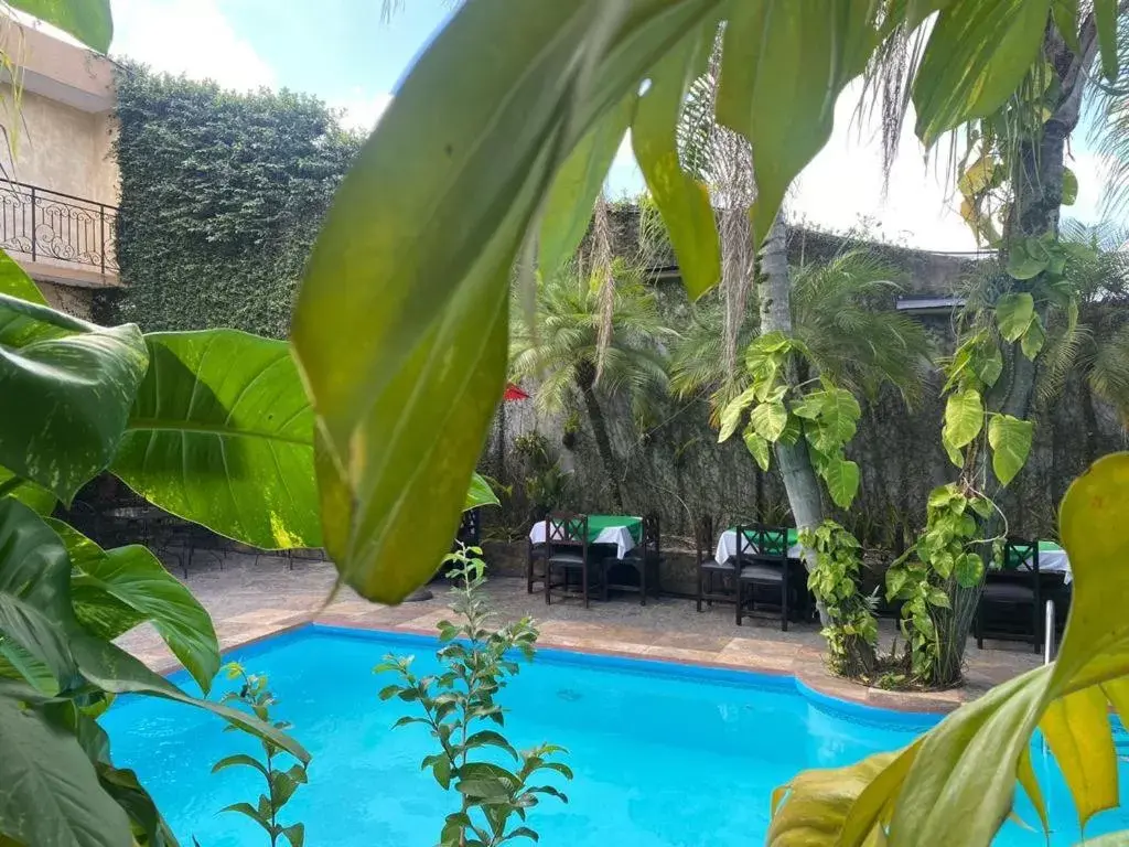 Swimming Pool in Hotel Camino Surreal Xilitla