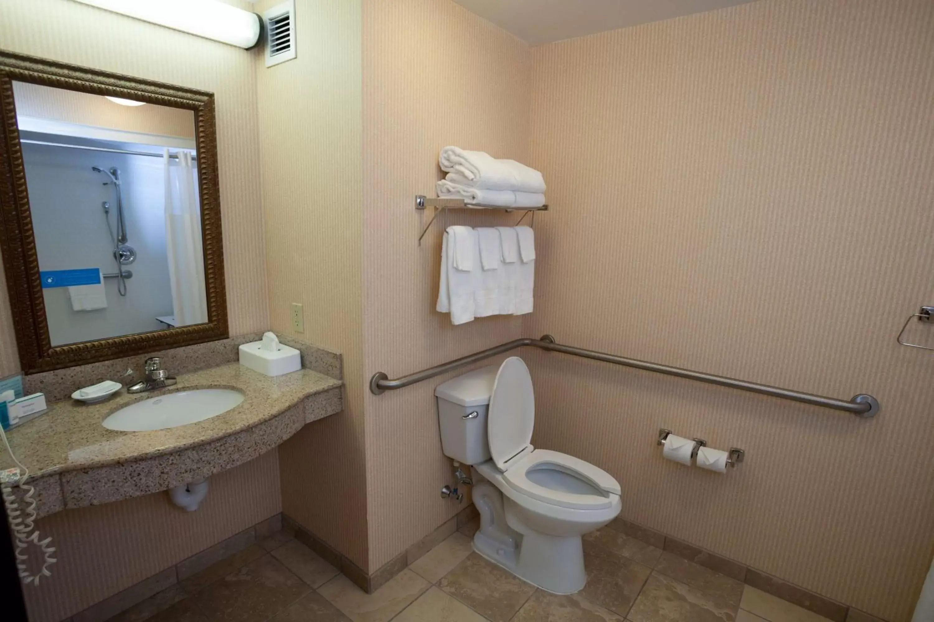 Bathroom in Hampton Inn Oneonta
