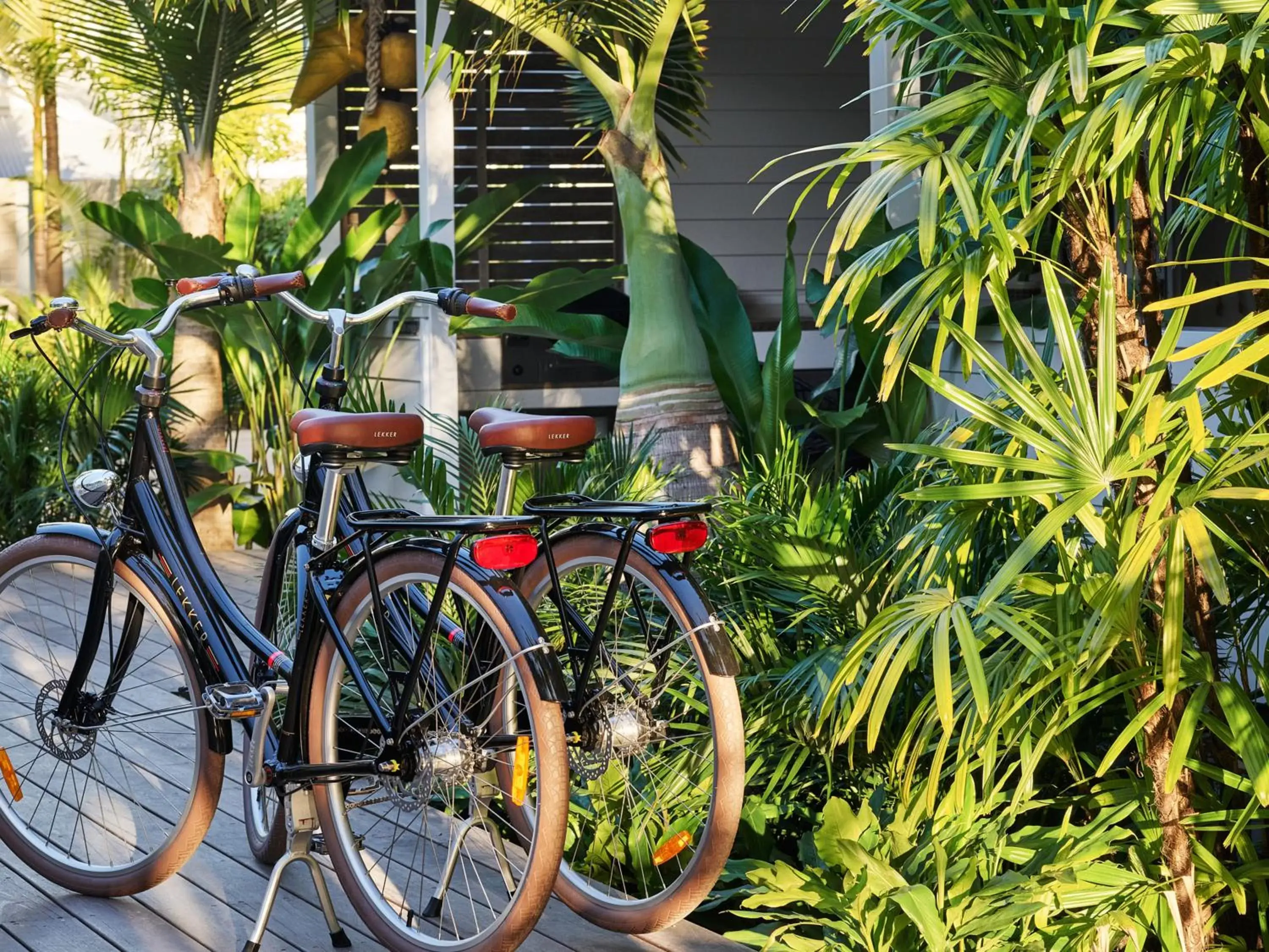 Cycling, Biking in Atlantic Byron Bay