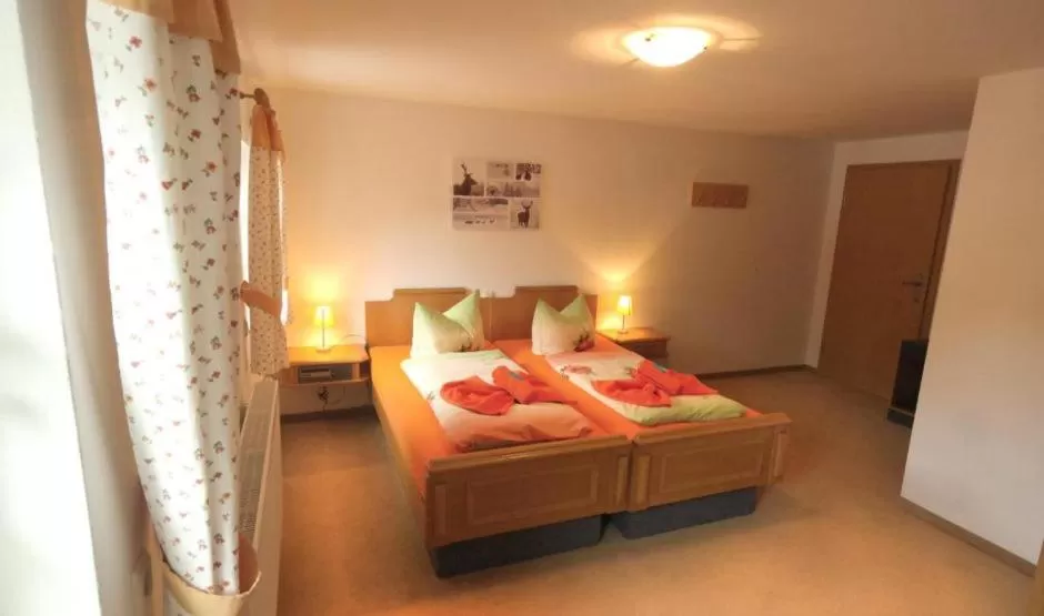 Standard Double Room in Waldgasthof Bad Einsiedel