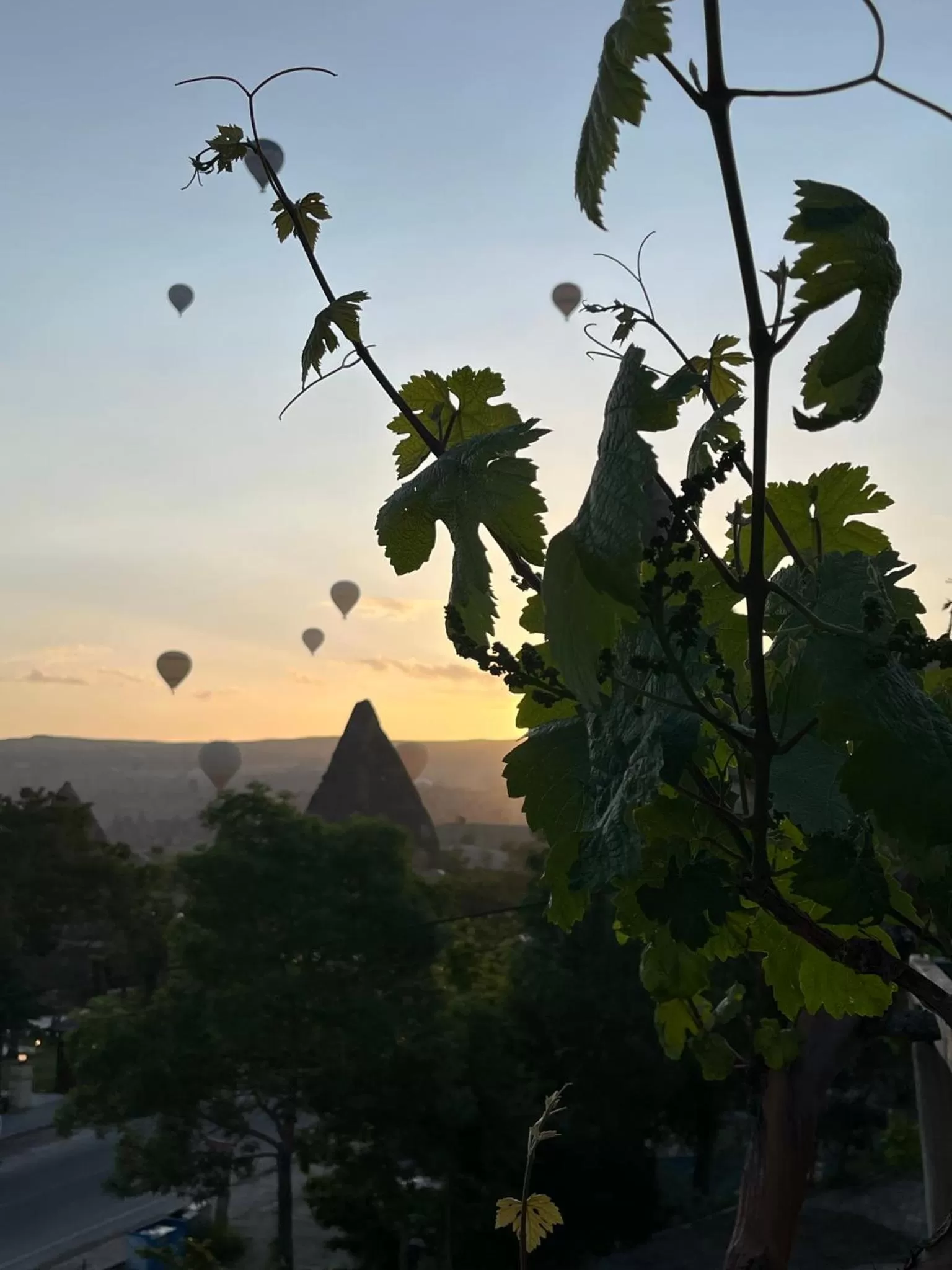 Paradise Cappadocia Hotel