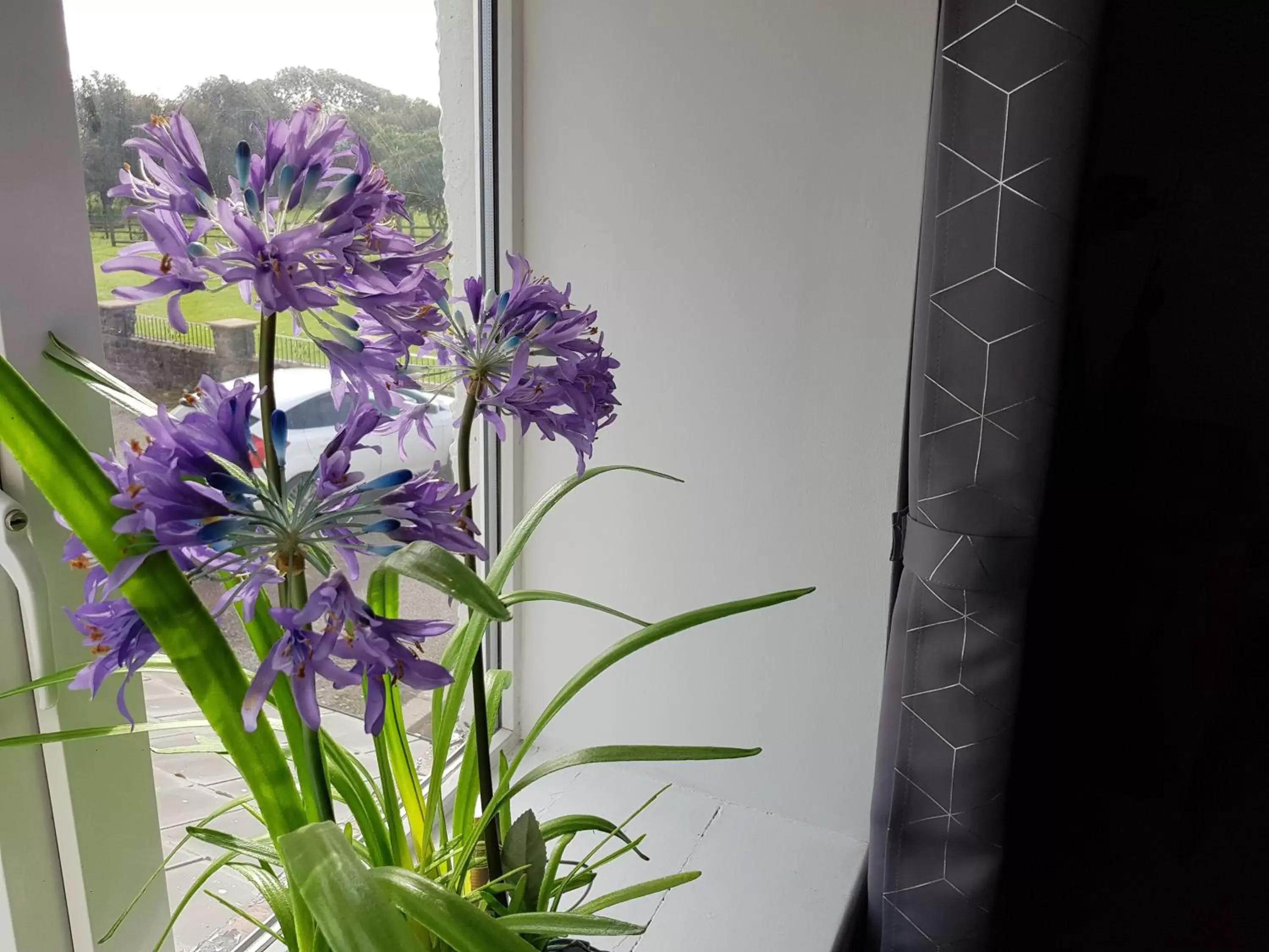 Double Room in Wheatsheaf Inn Double Room in Wheatsheaf Inn