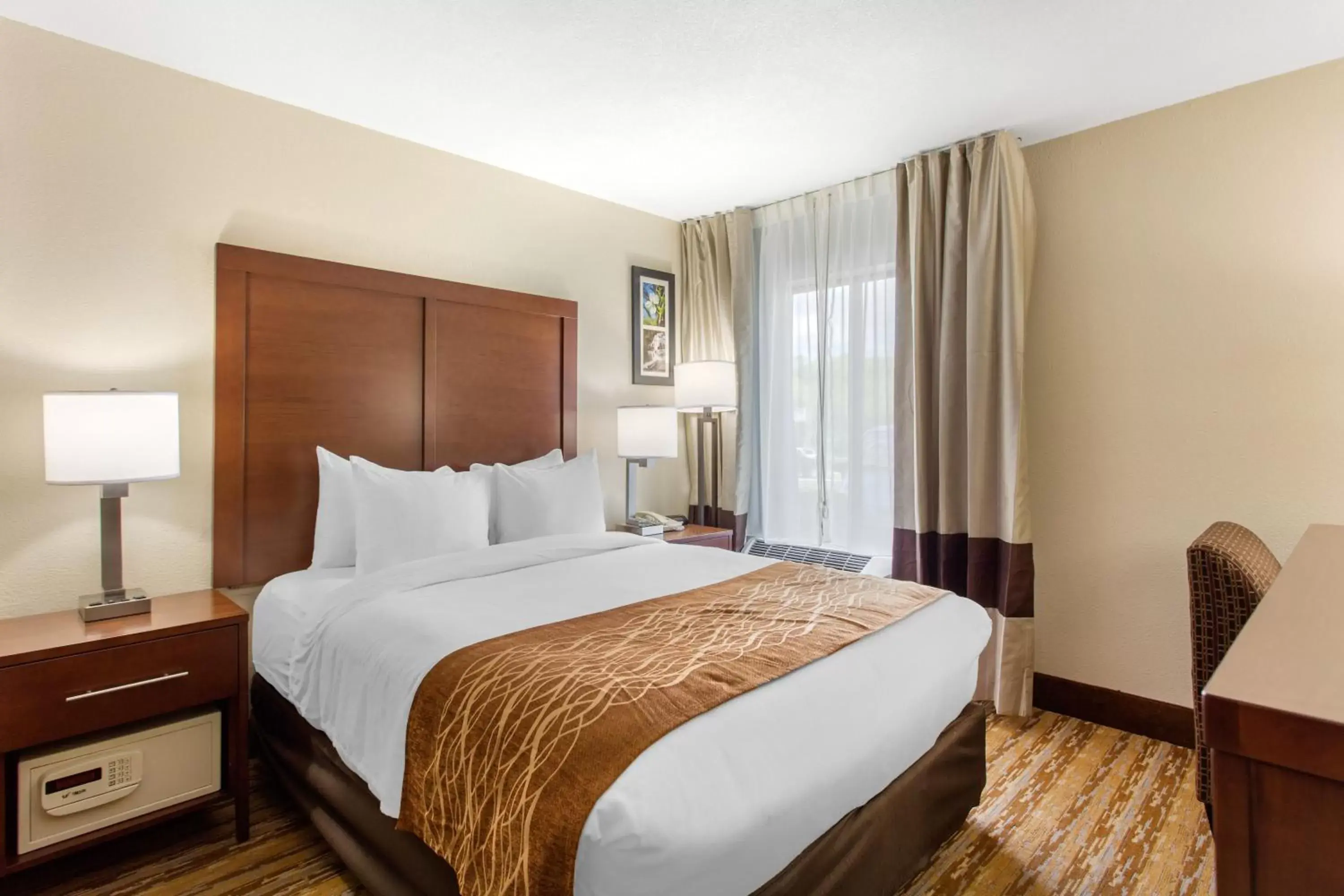 Queen Room - Accessible/Nonsmoking in Comfort Inn Asheville East-Blue Ridge Pkwy Access