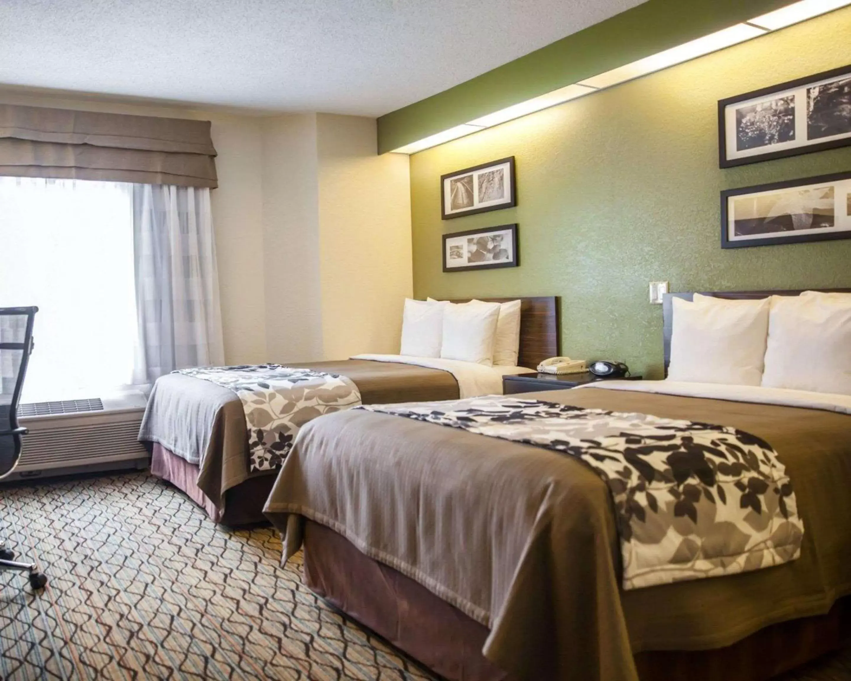 Photo of the whole room, Bed in Sleep Inn Rockville Photo of the whole room, Bed in Sleep Inn Rockville