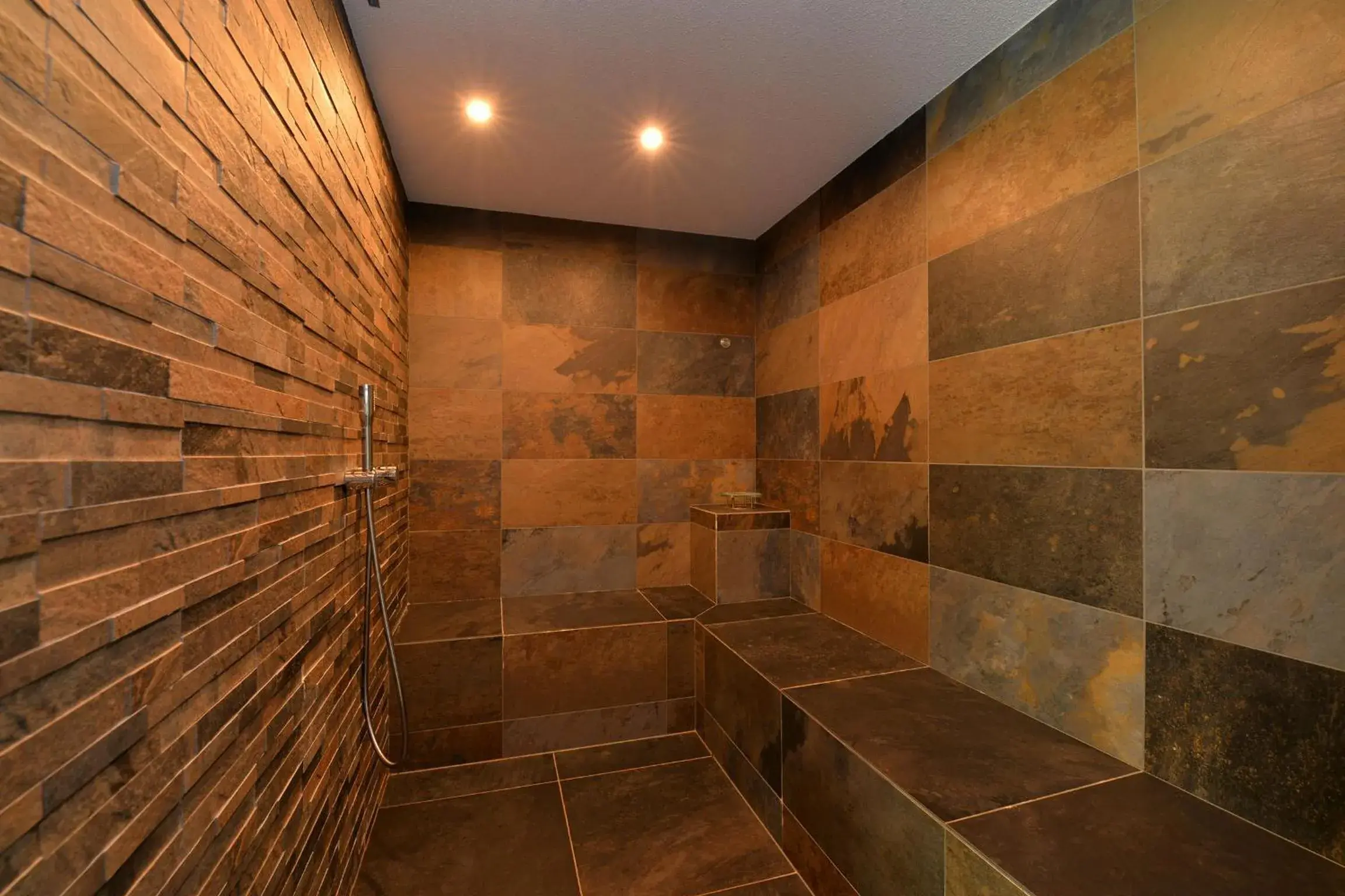 Steam room, Bathroom in L'éclos des vignes - Appartements haut de gamme avec Spa