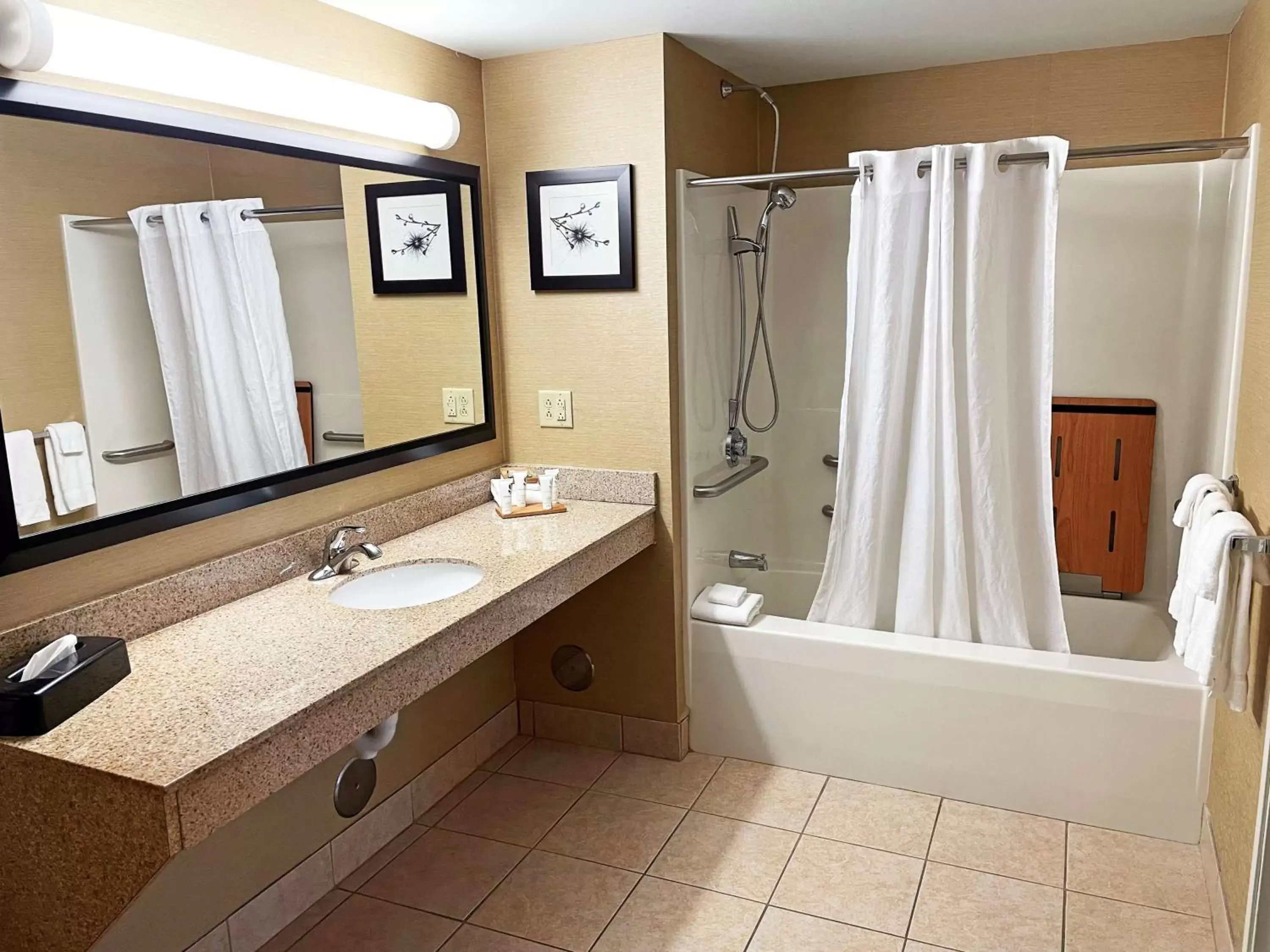 Bathroom in Country Inn & Suites by Radisson, Findlay, OH