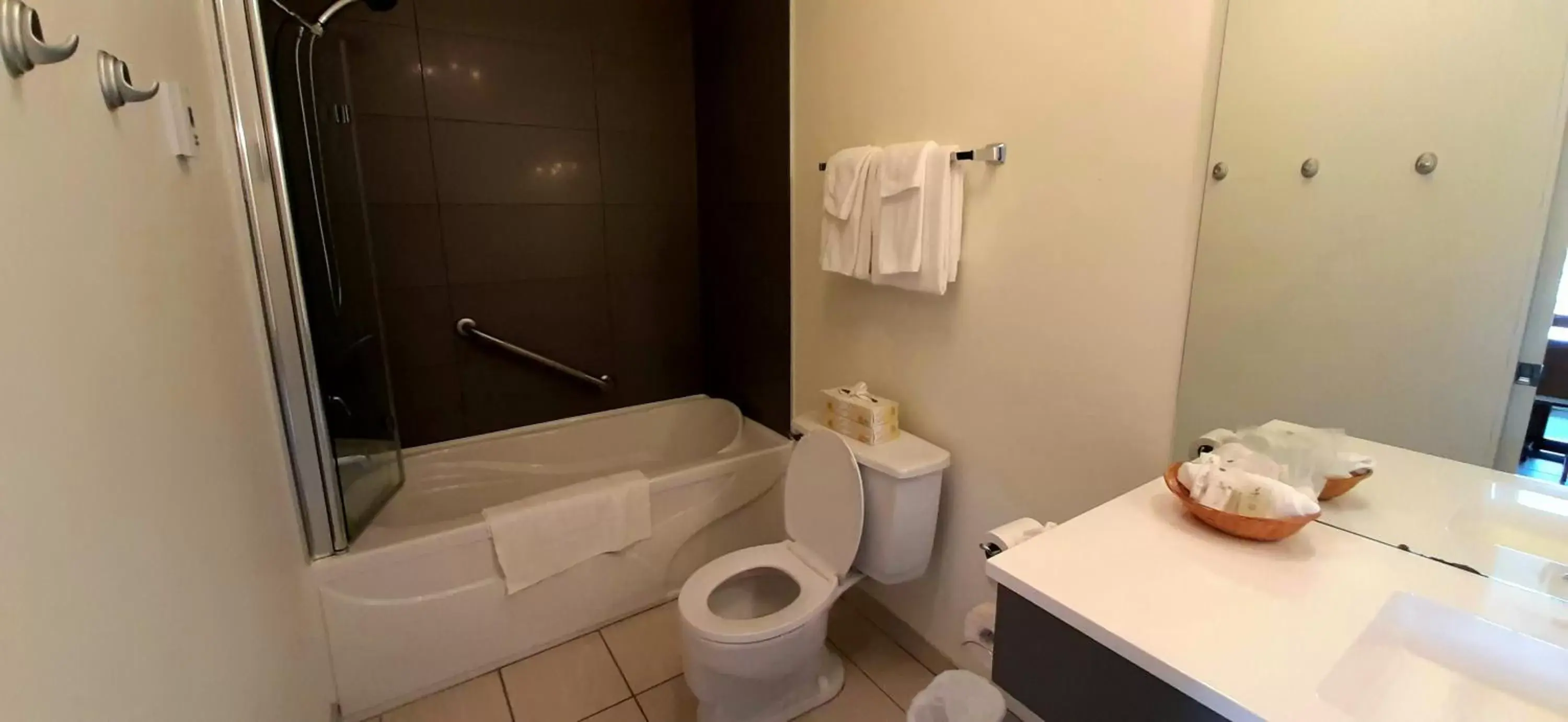 Toilet, Bathroom in Motel Chute des Pères