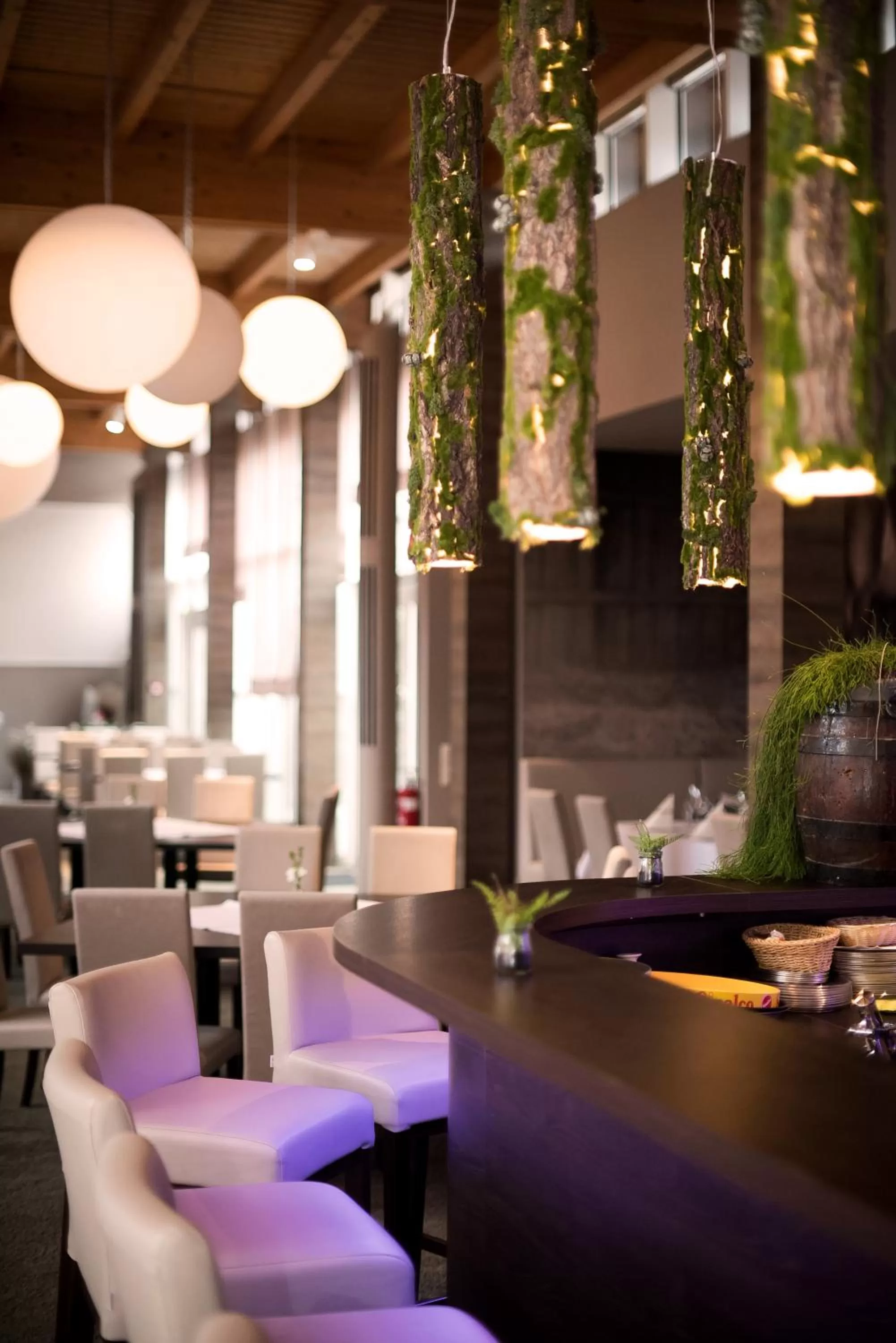 Lounge or bar in Landhotel Bad Dürrenberg