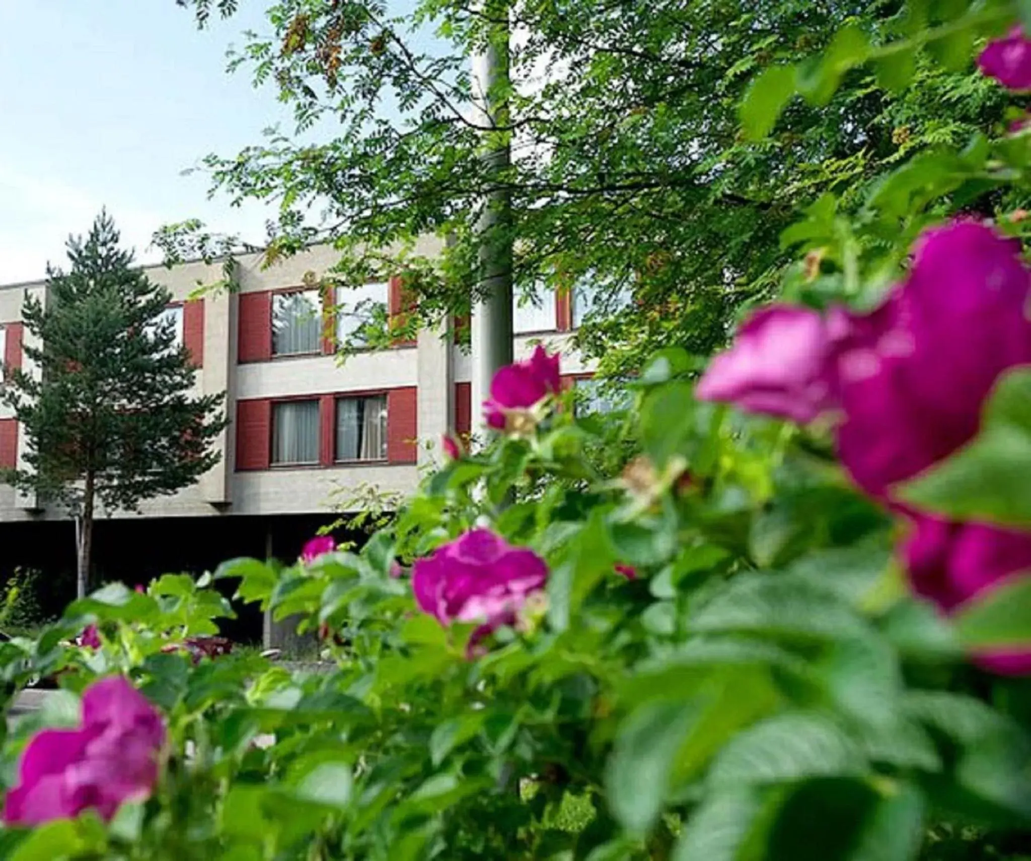 Facade/entrance in Hotel Korpilampi Facade/entrance in Hotel Korpilampi