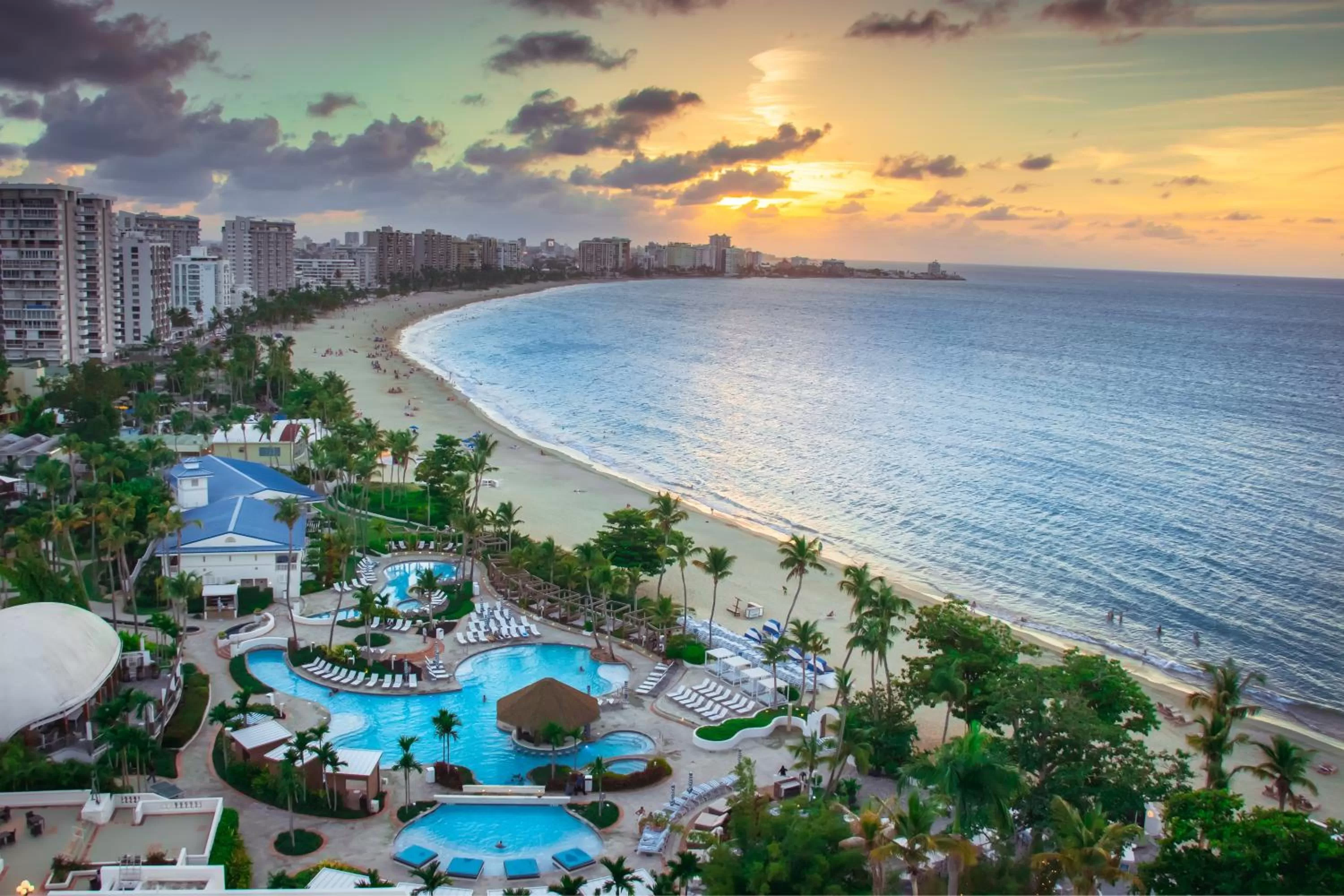 Pool view in OCEAN VIEW DELUXE SUITE: PVT. BEACH & POOL