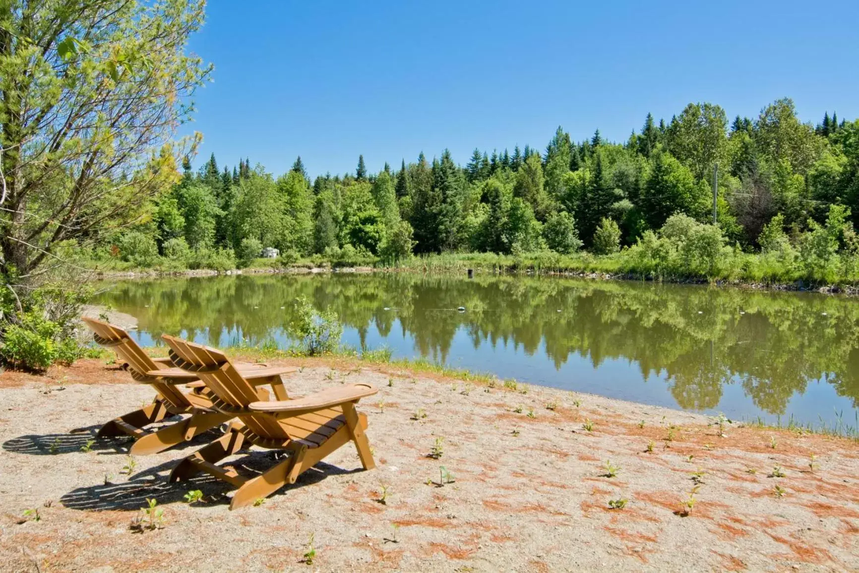 Camping Chalets Spas Pignons Rouges