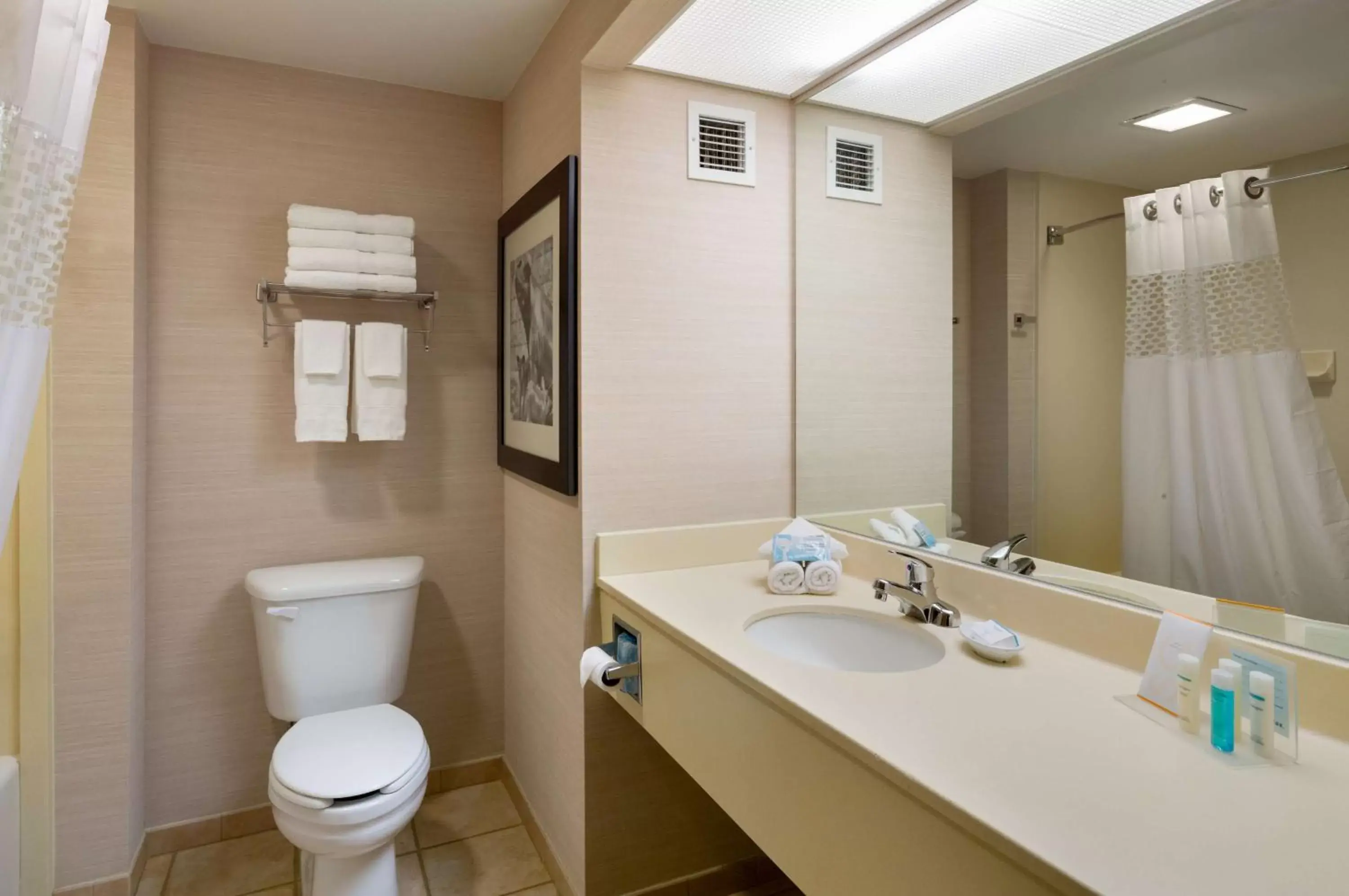 Bathroom in Hampton Inn & Suites State College at Williamsburg Square