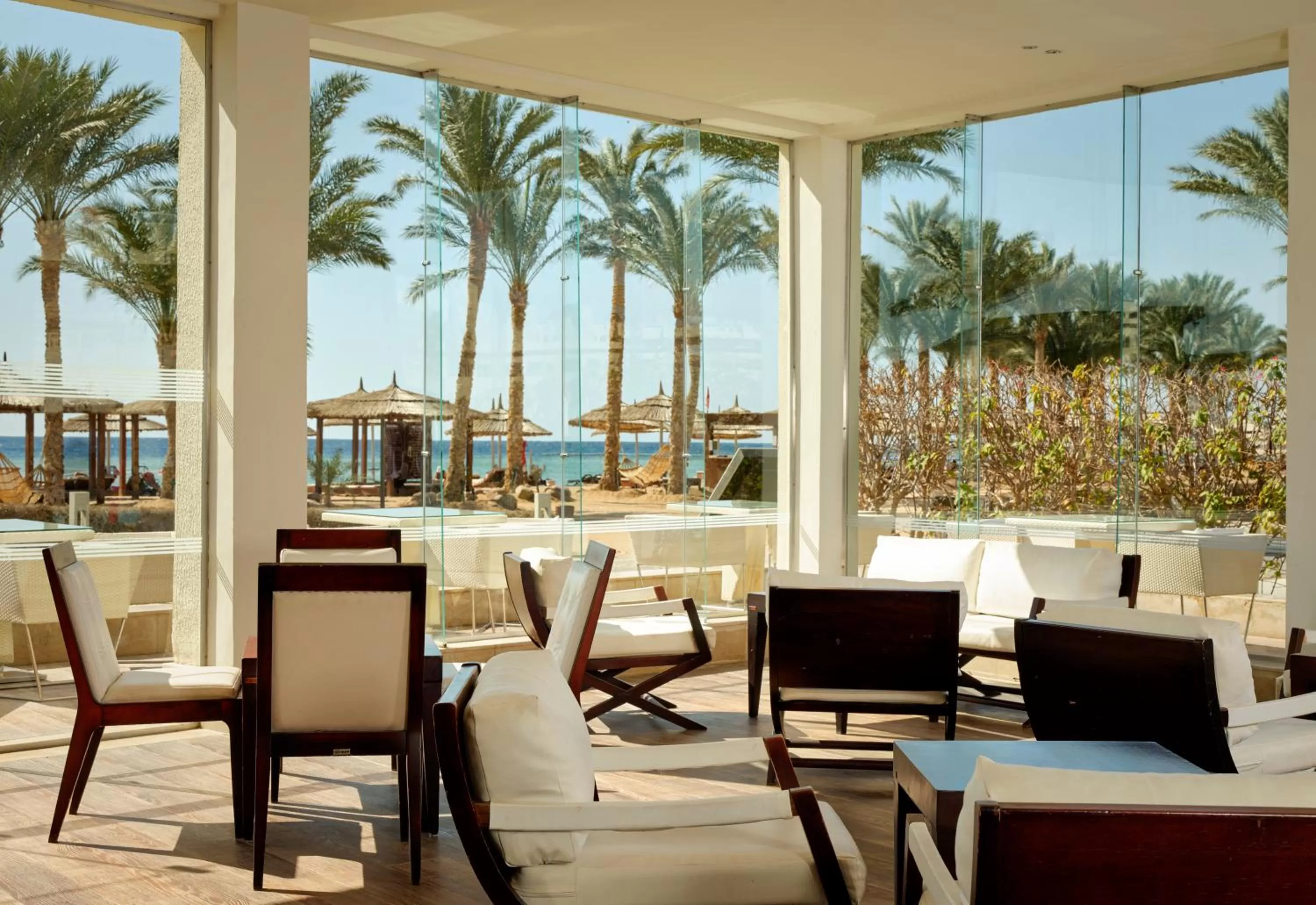 Lounge or bar in Coral Sea Imperial "Coral Sea Sensatori"