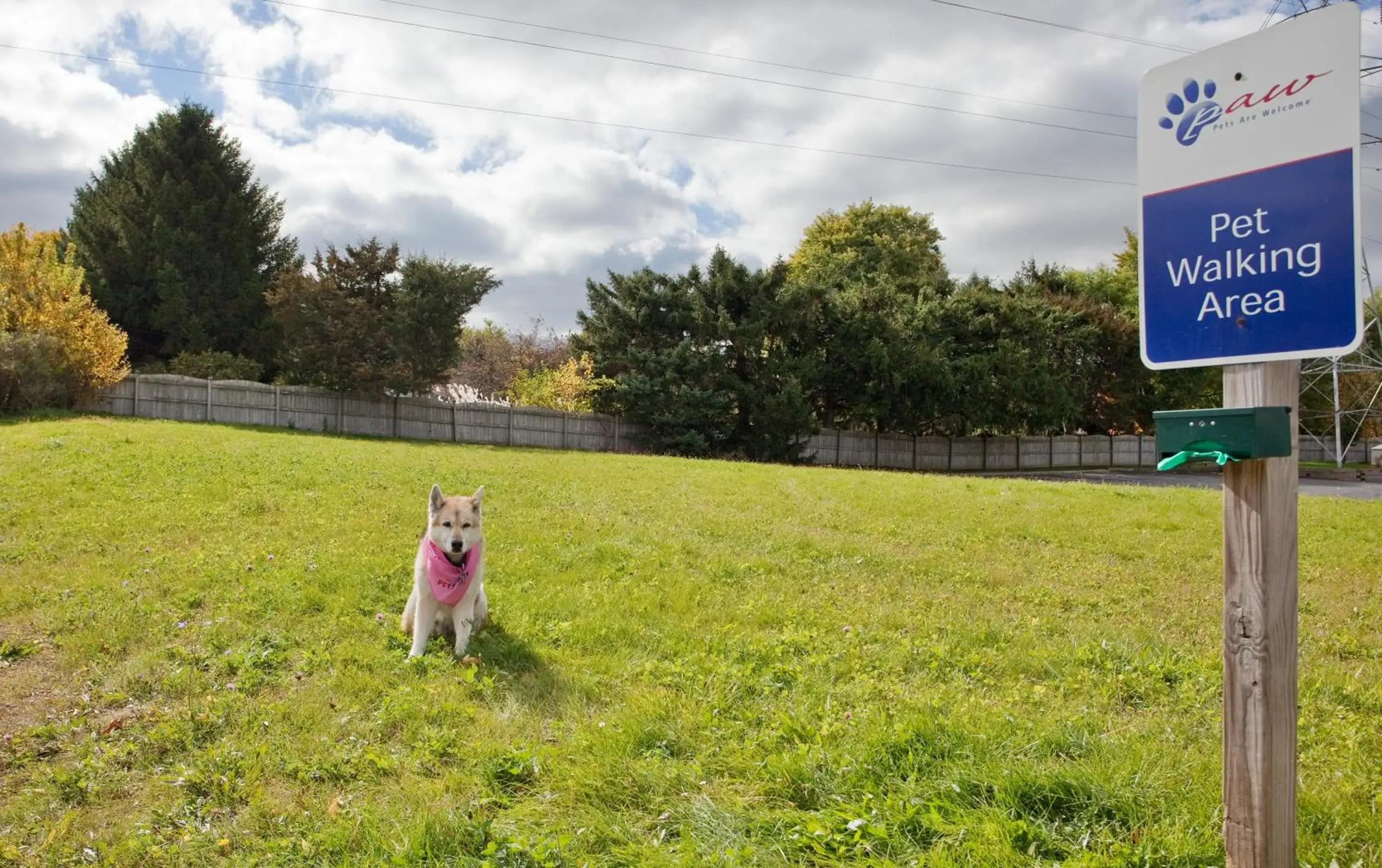 Other, Pets in Candlewood Suites Rockford, an IHG Hotel